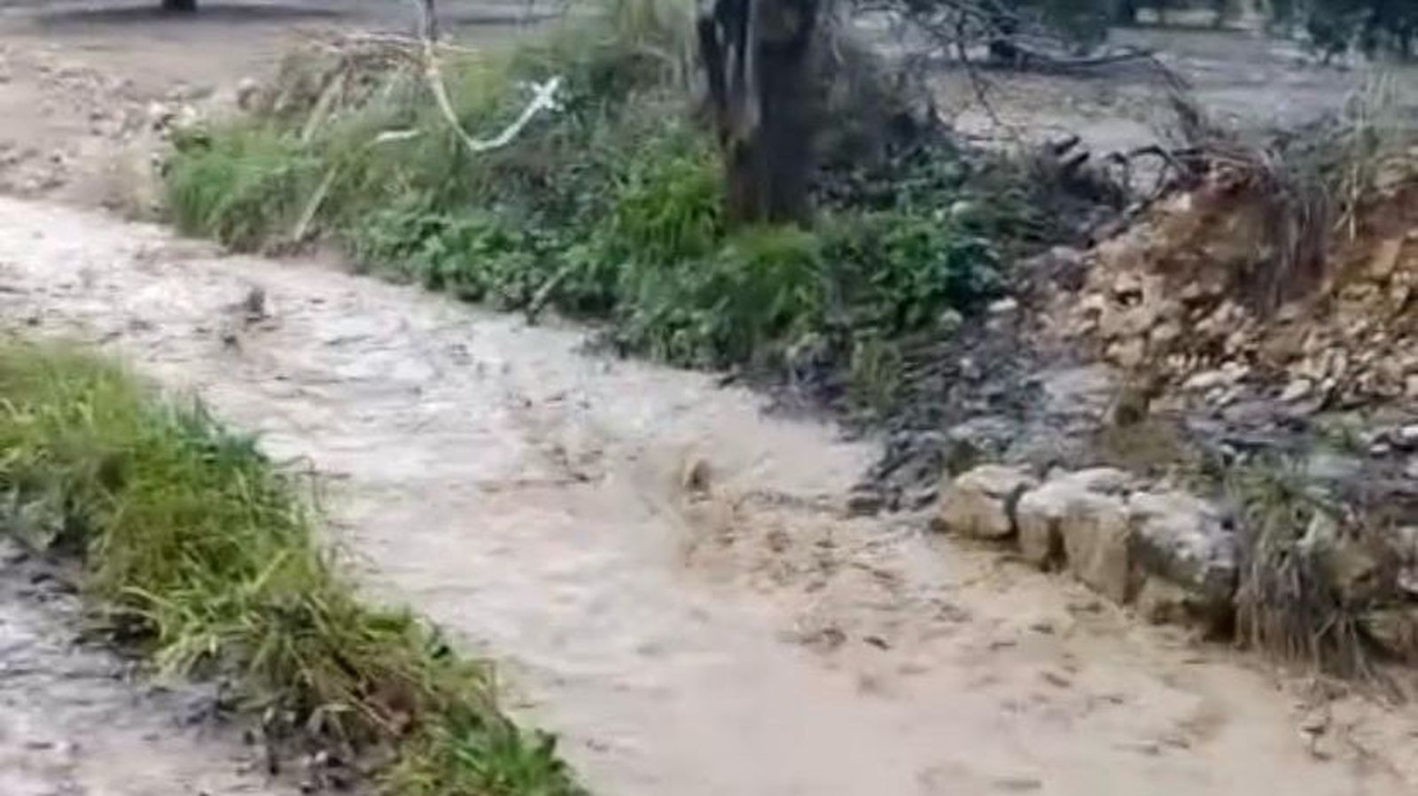 Vuelve a desbordarse el arroyo de Íllora que arrastró al joven motorista el mes pasado