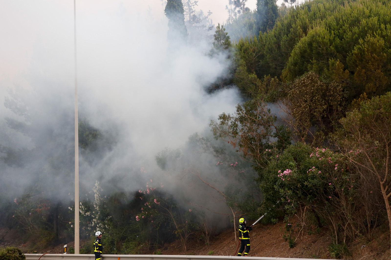 Las fotos del incendio de este viernes en Algeciras
