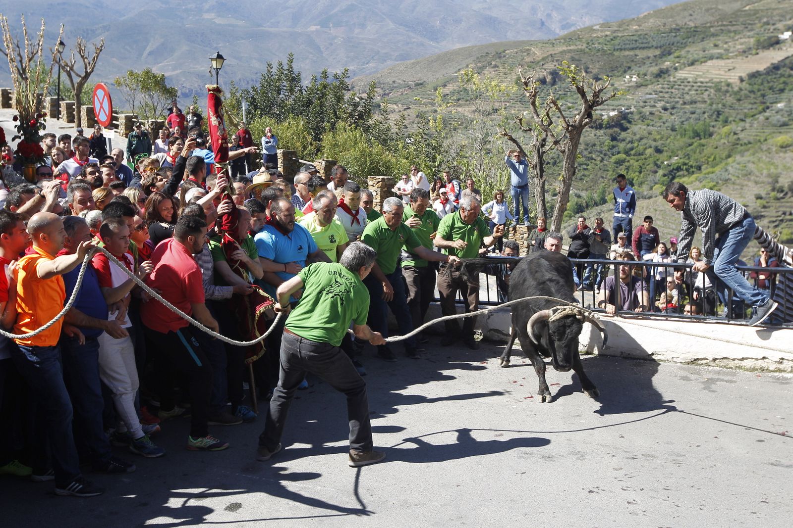 Fotogalería Tosos Ensogaos Ohanes. Fiestas San Marcos.