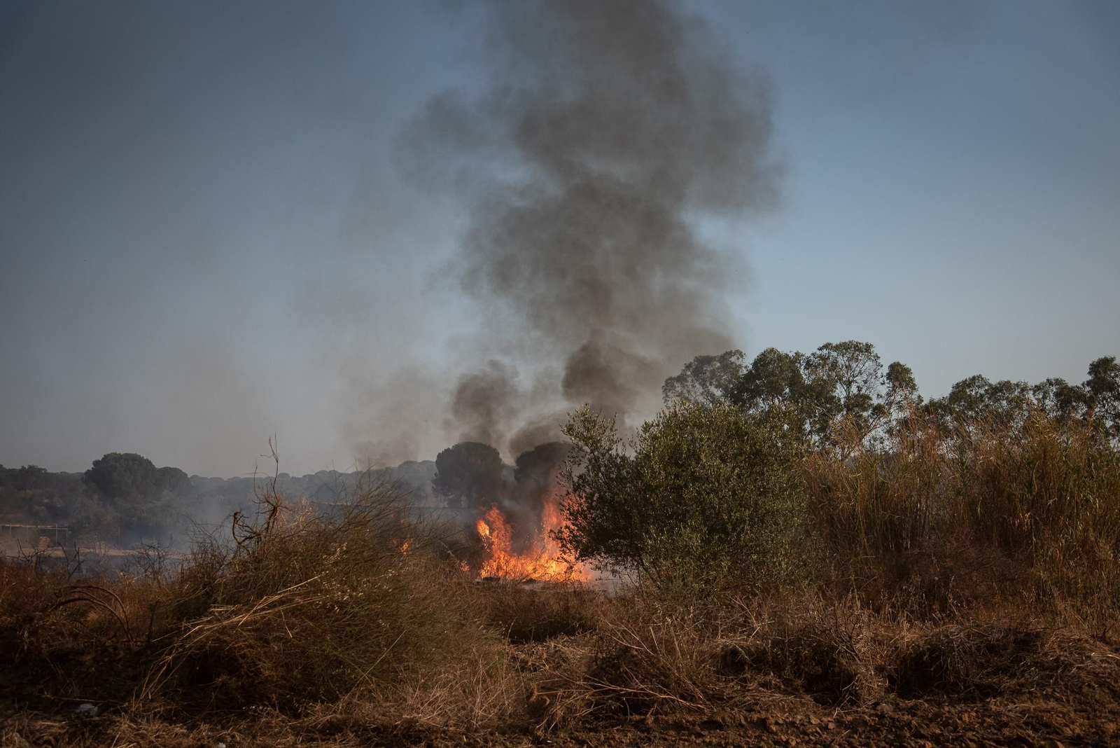 El incendio de Lucena del Puerto en imágenes