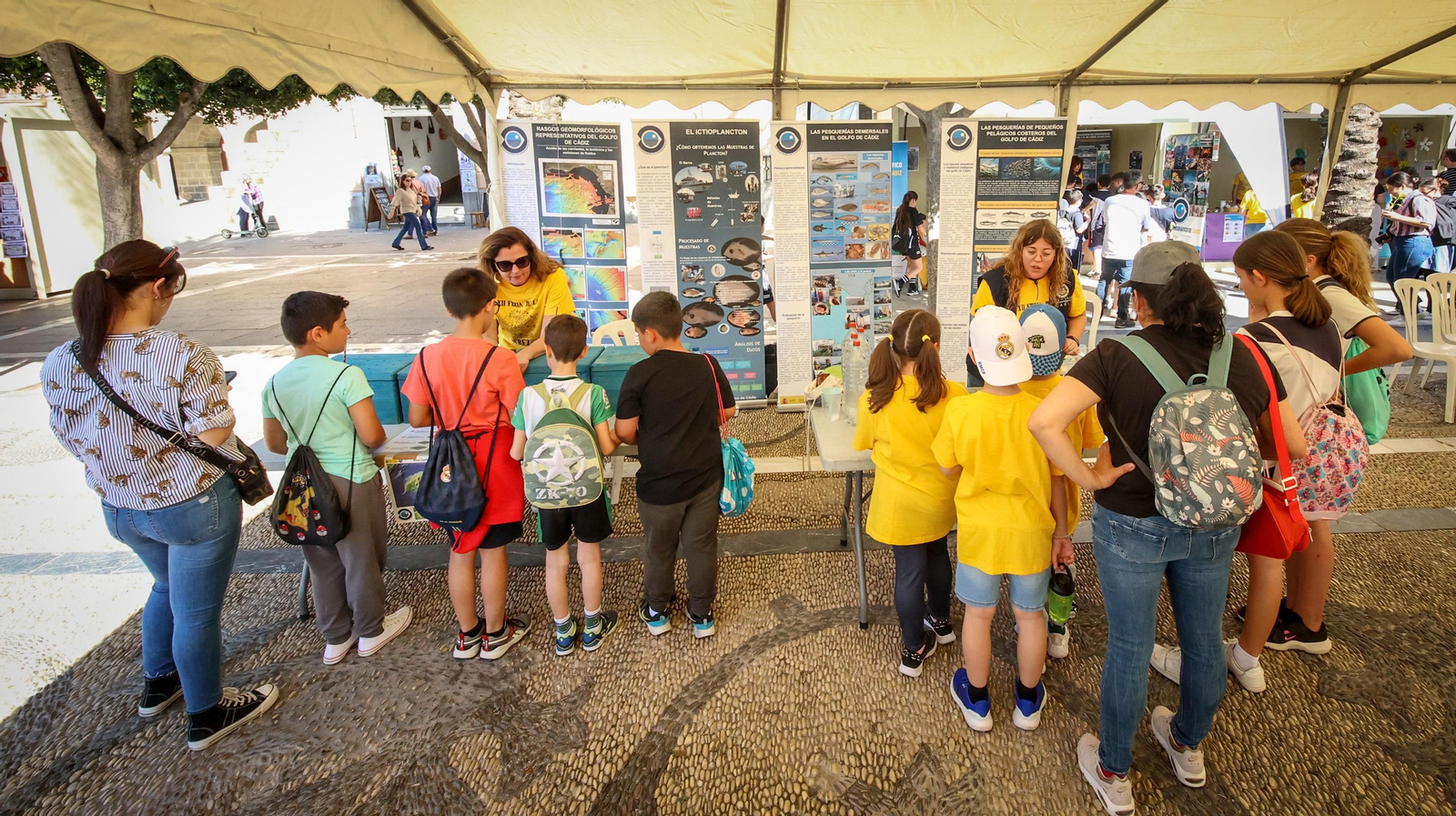 La Feria de la Ciencia de Jerez en imágenes