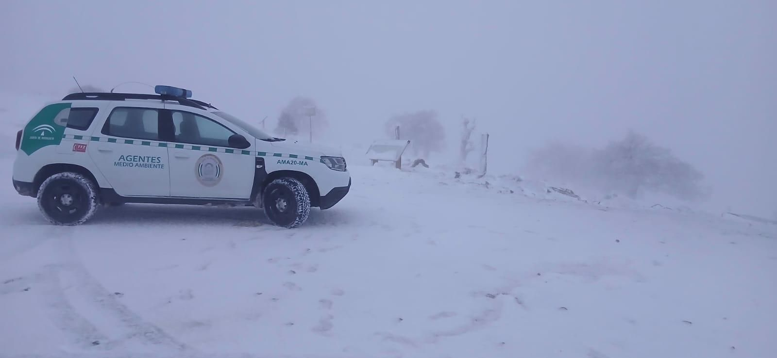 El Parque Nacional Sierra de las Nieves cubierto por la helada, en imágenes