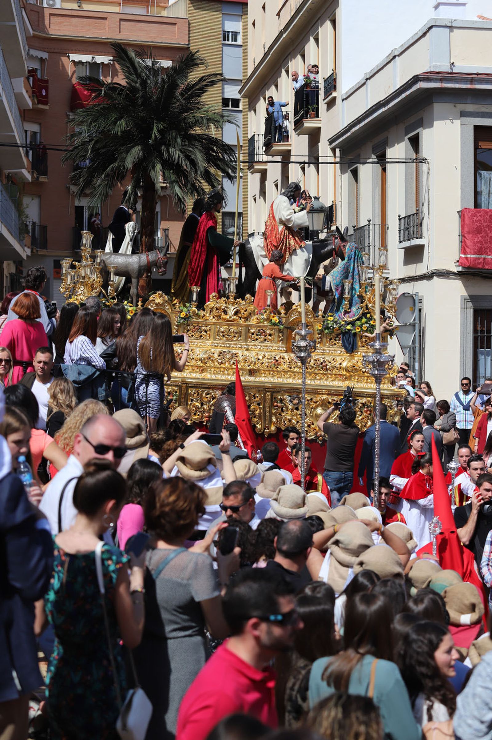 Imágenes del recorrido de la Borriquita  por las calles de Huelva