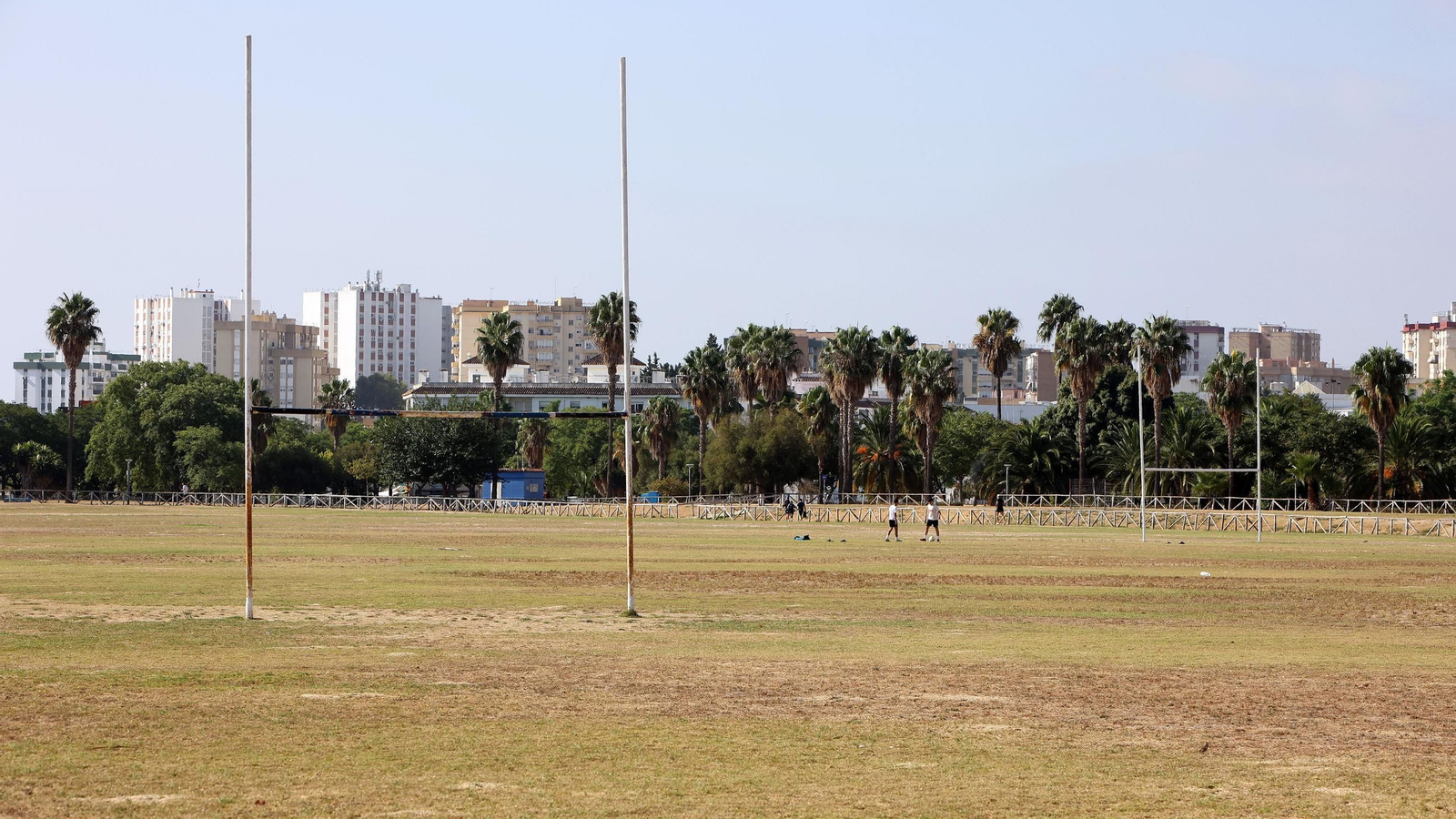 Este es el estado en que se encuentra la Pradera de Chapín en Jerez