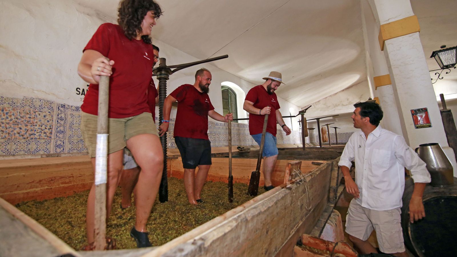 Vendimia y pisa de la uva tradicional en Viña El Corregidor de Bodegas Luis Pérez