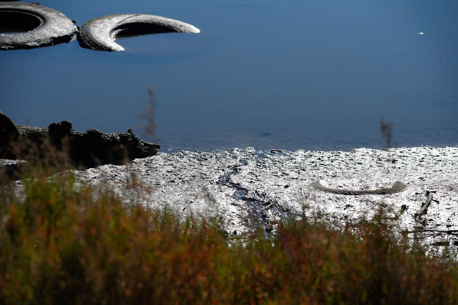 Fotos de la contaminación en el paraje natural marismas del Río Palmones