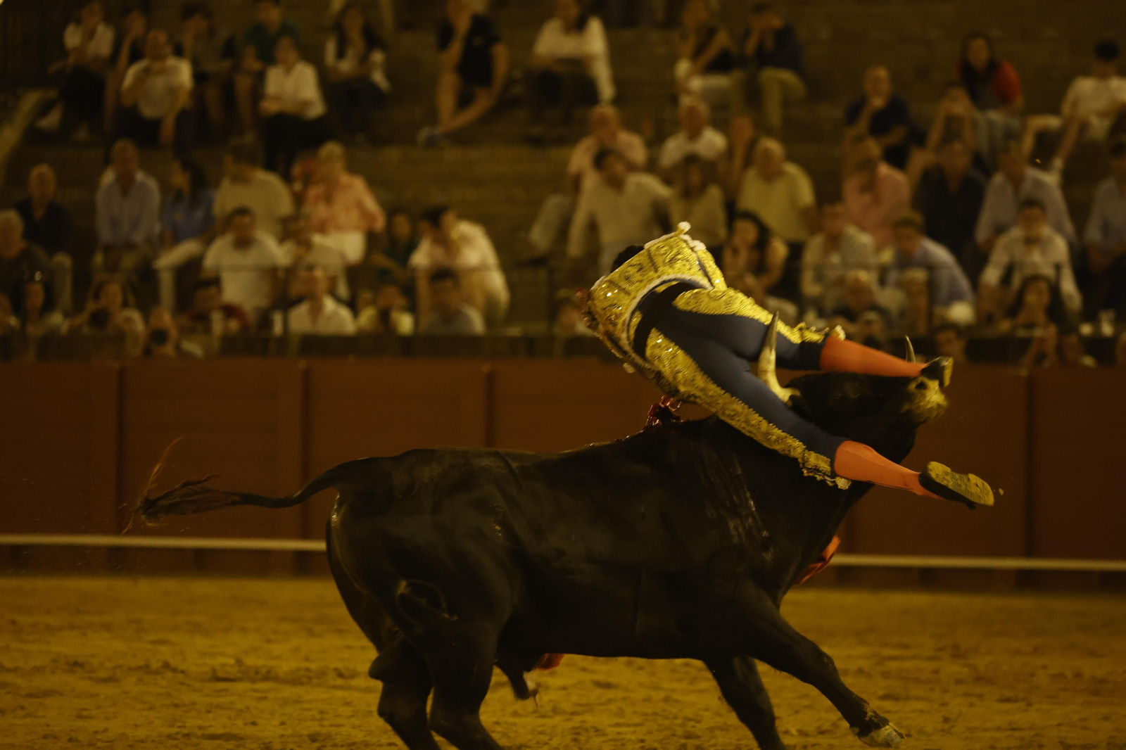 Las imágenes de la novillada en la Maestranza