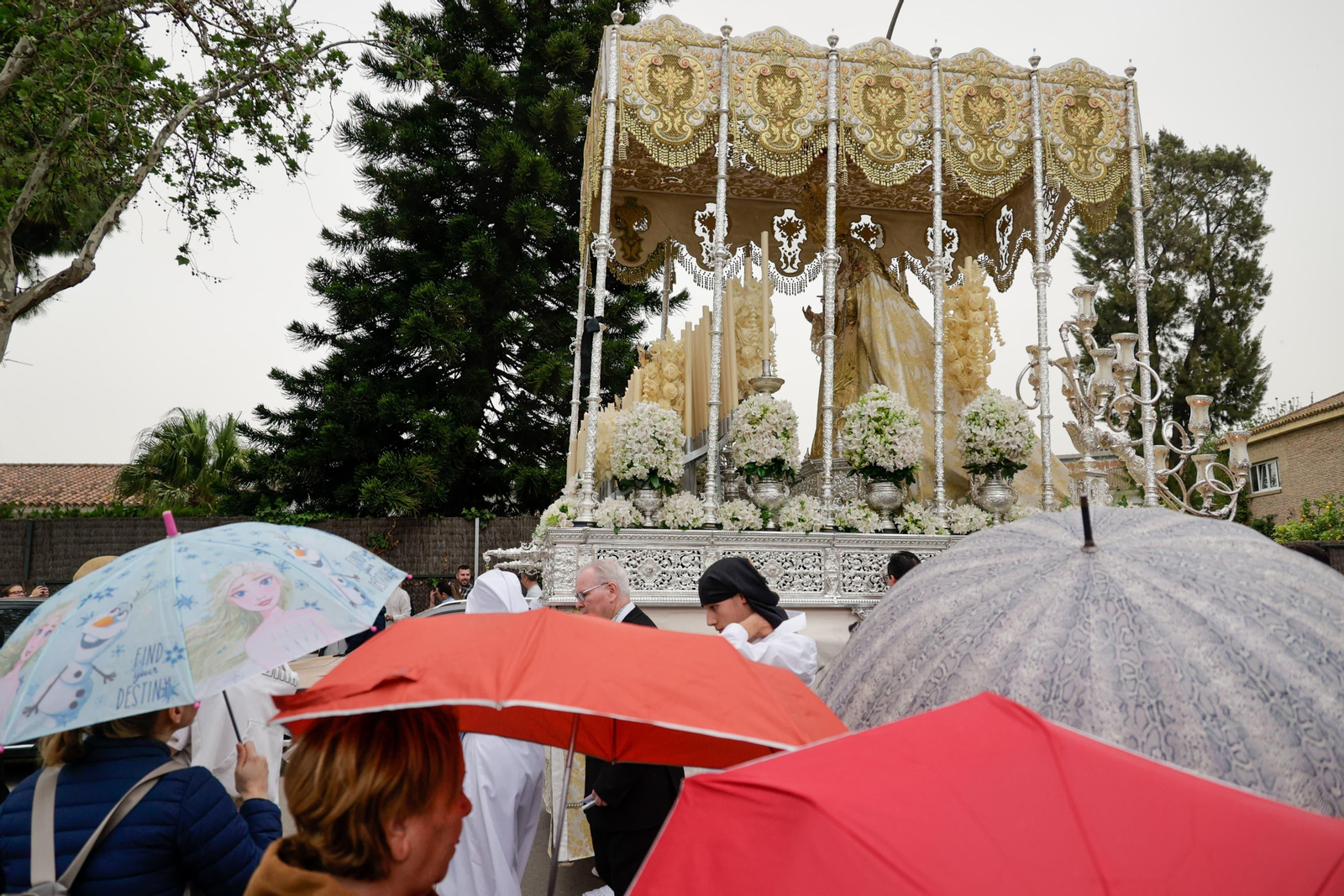 Las imágenes del Domingo de Ramos 2024 en El Puerto: La Borriquita