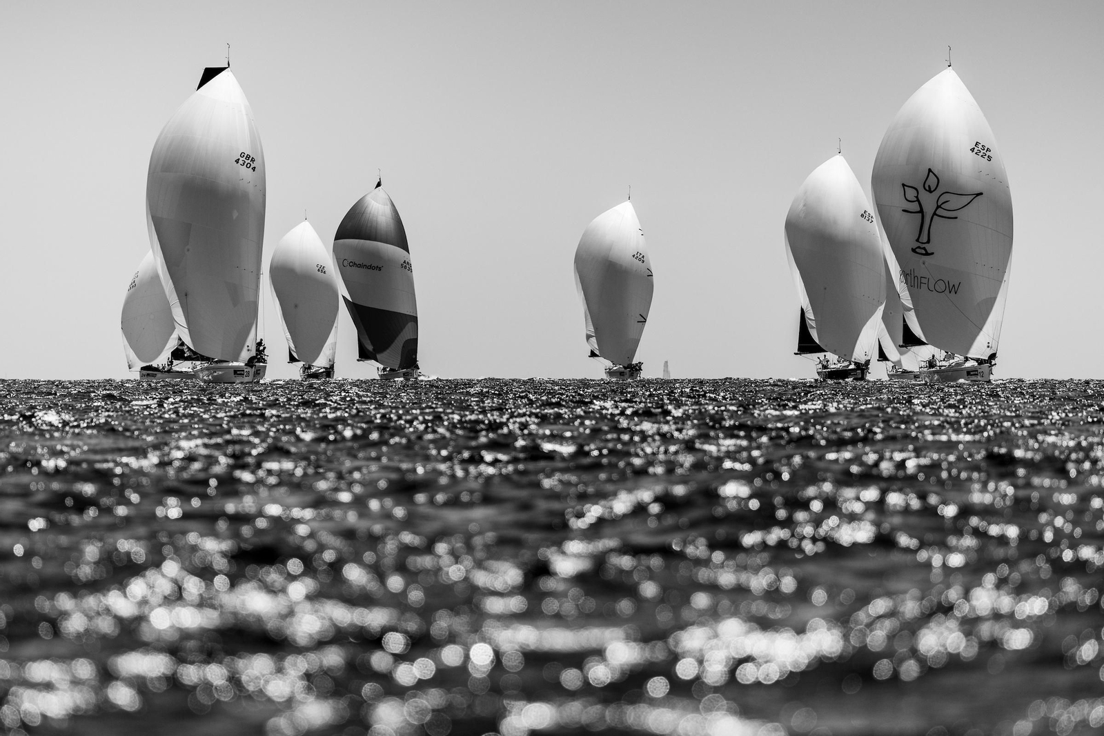 ORC A VELA RACING (31).jpg