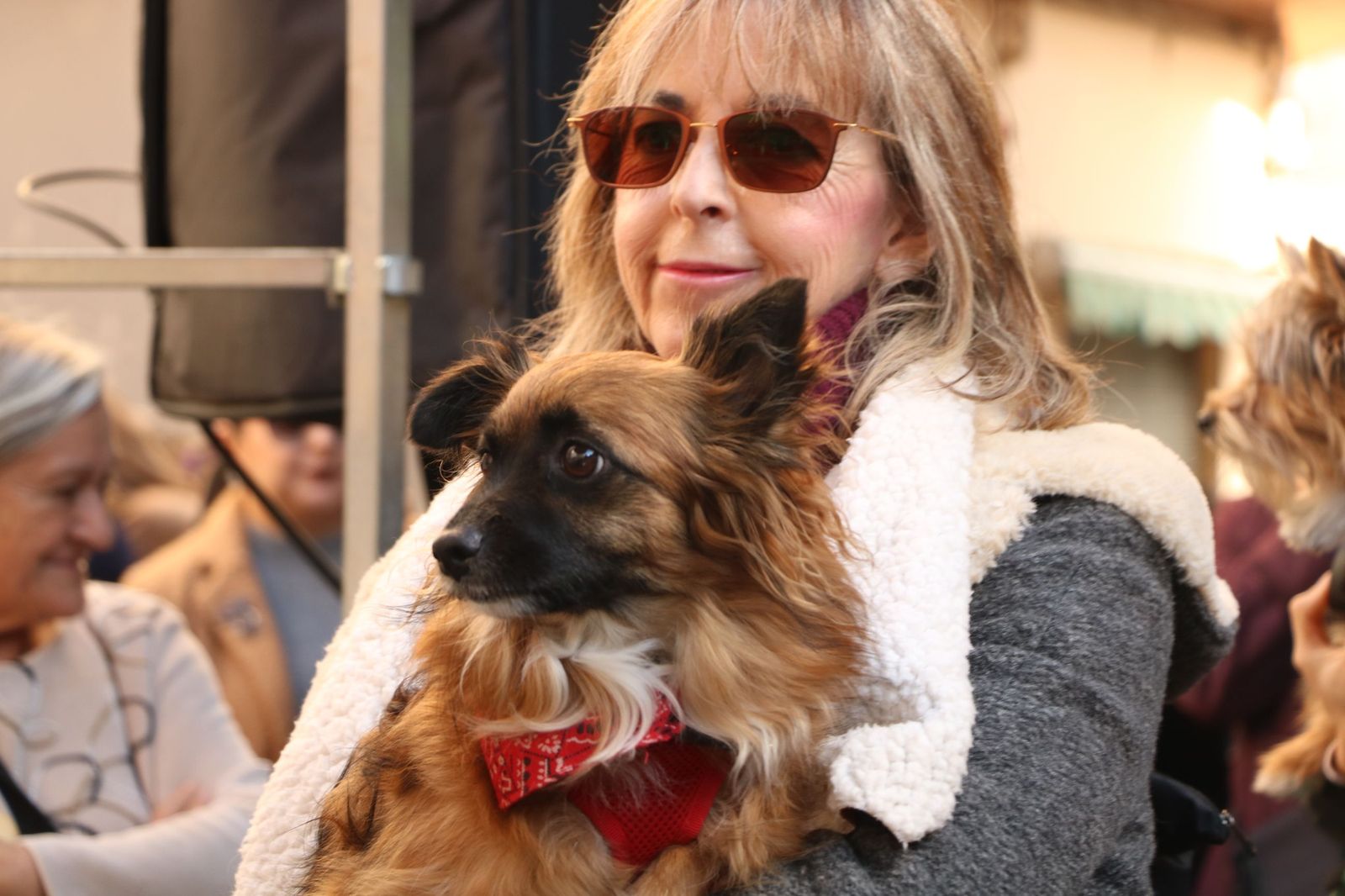 Así ha sido la bendición de las mascotas y la subasta de 'rabicos' en el casco histórico de Almería