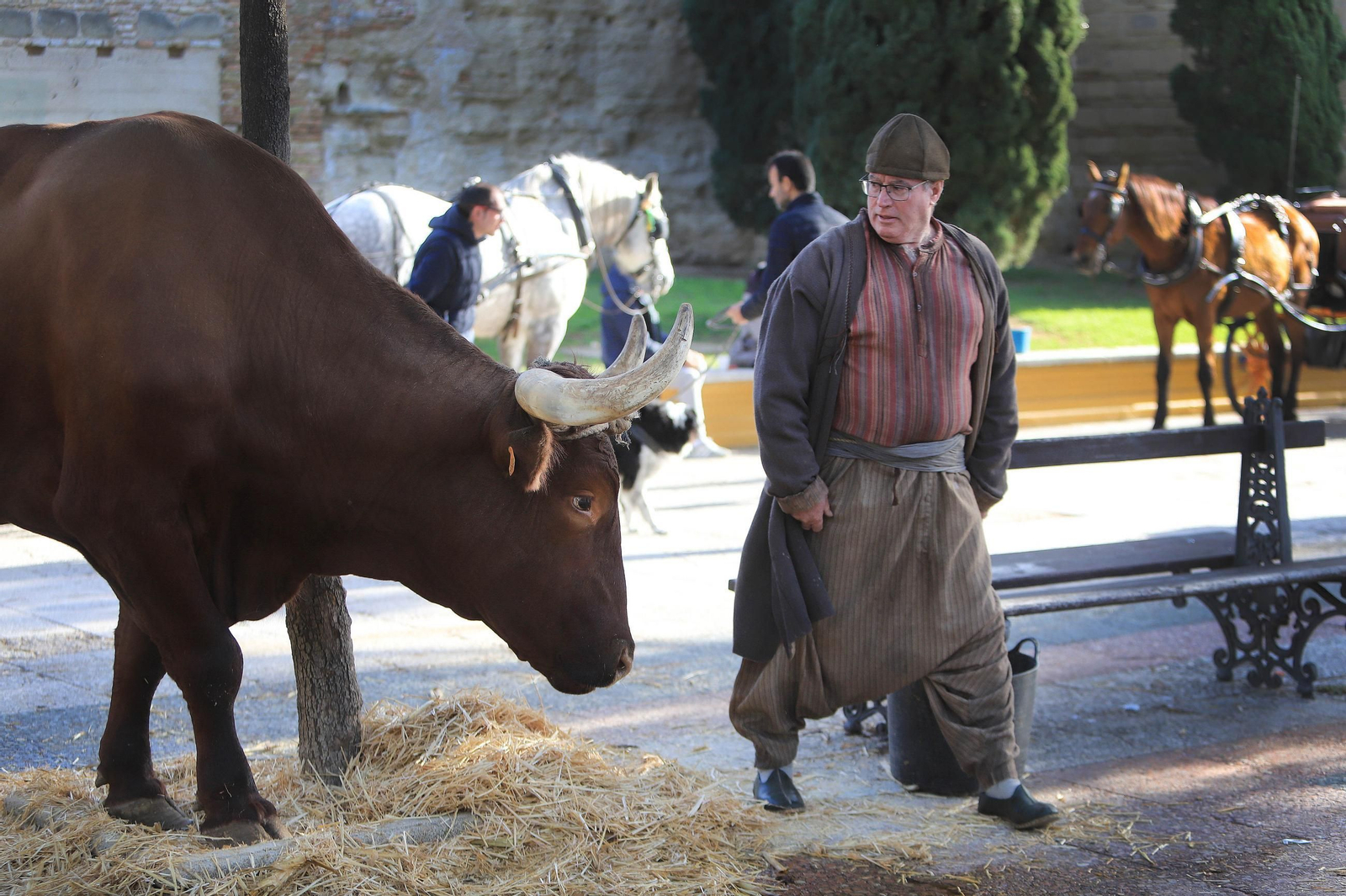 Último día de rodaje en Jerez de la serie Young Holmes