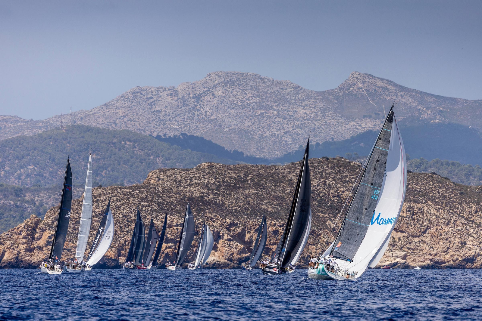 ORCA A Vela Regata (17).jpg