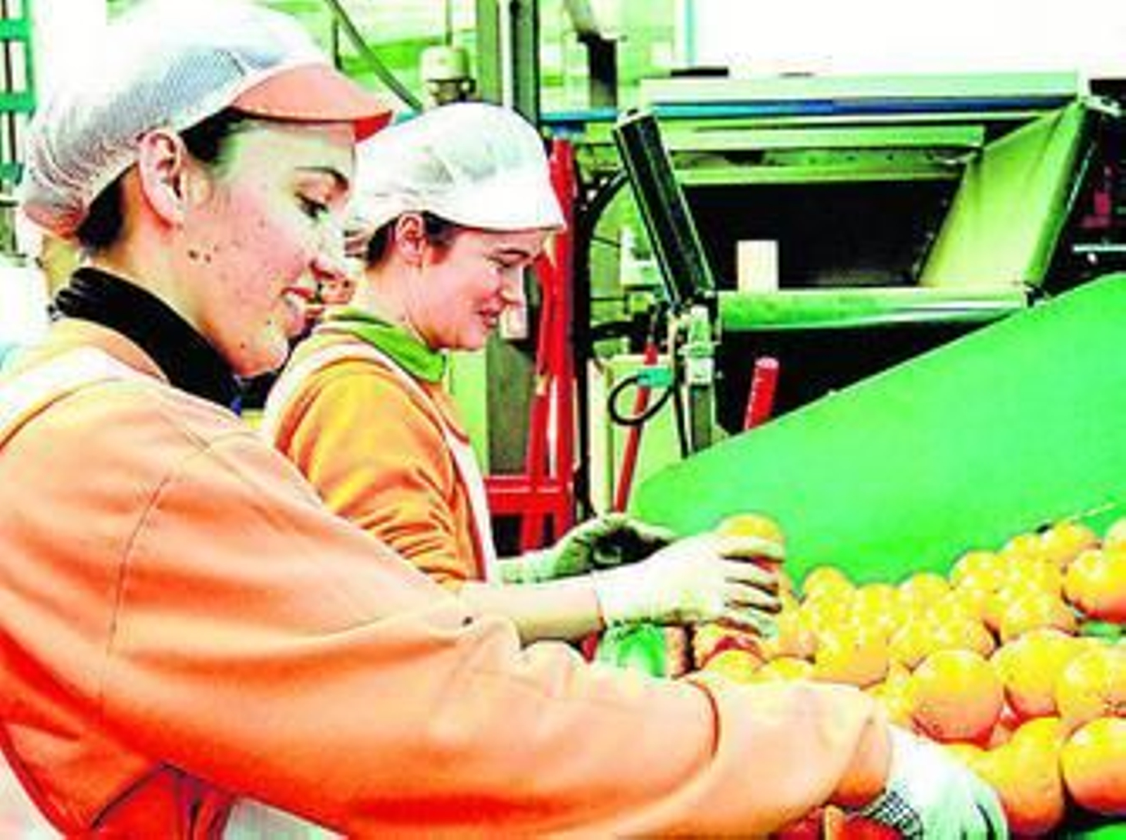 Las naranjas son los cítricos que más exporta Almería.