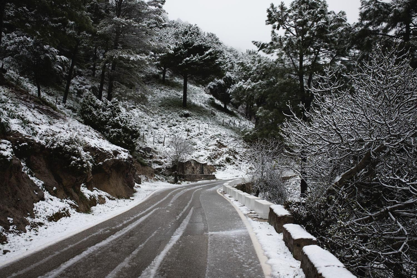Imágenes de nieves en la Sierra de Cádiz este Martes Santo