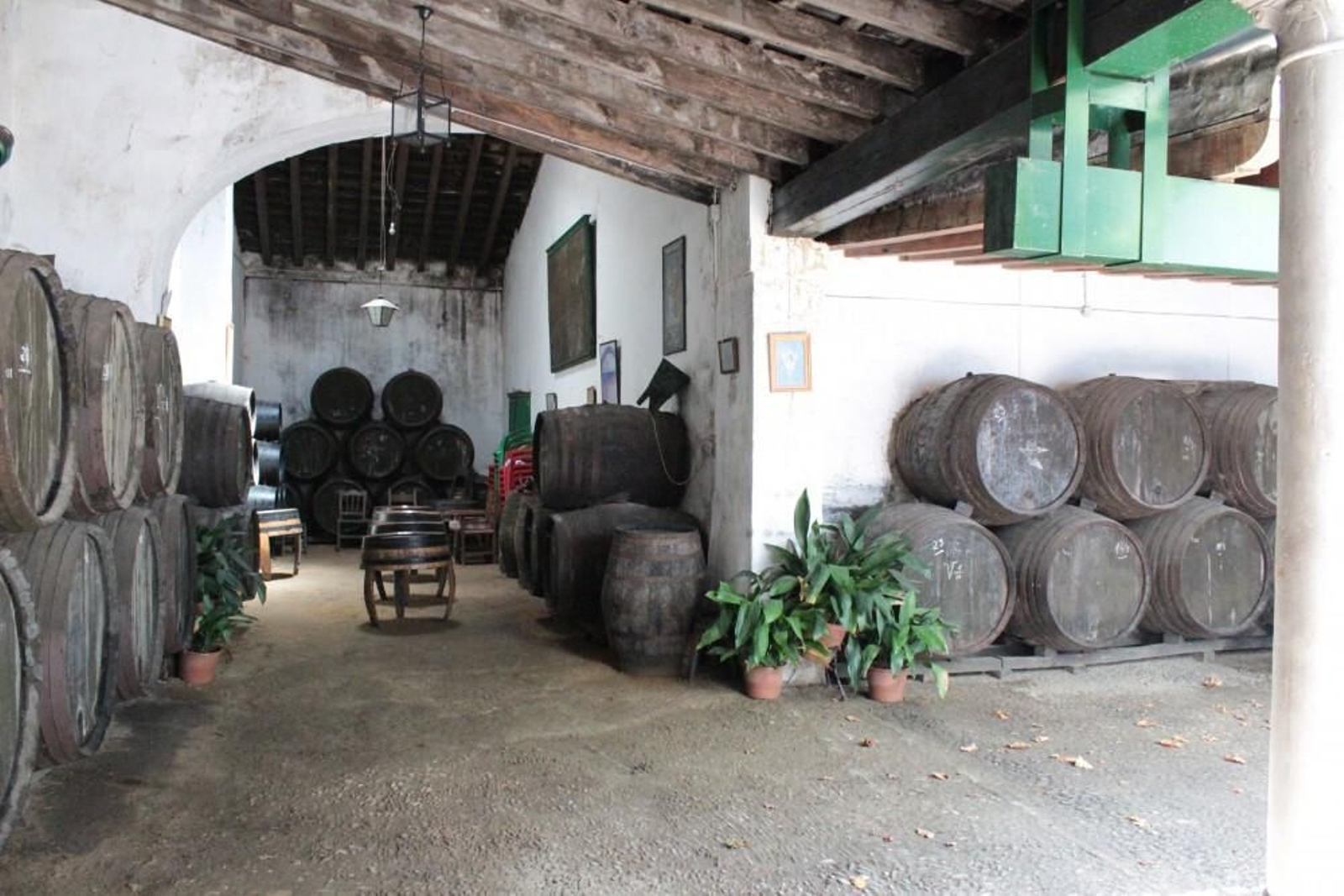 Bodegas Faustino González, pura artesanía.
