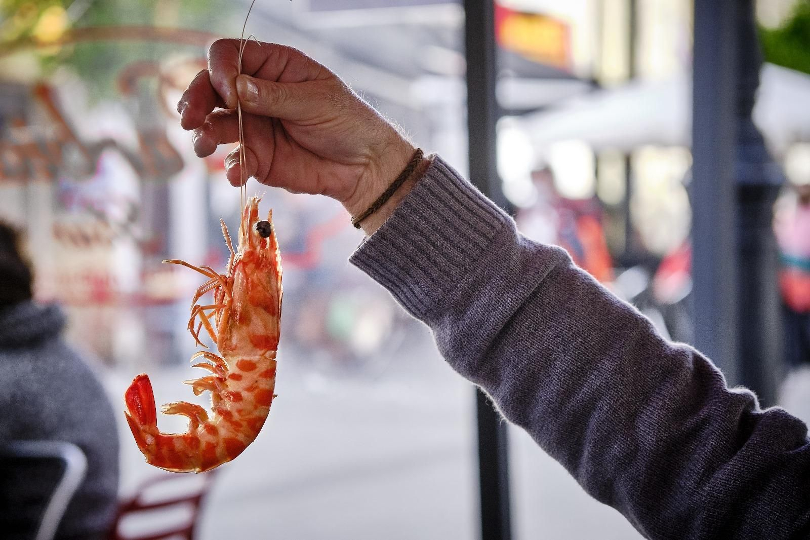 Un consumidor sujeta un langostino de Sanlúcar desde su largo bigote.