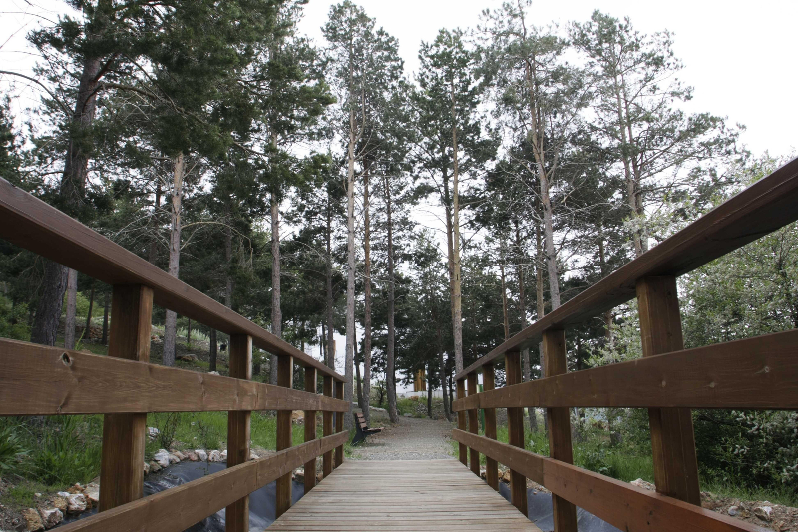 Conoce los jardines de Granada en los que poder disfrutar de bonitas flores
