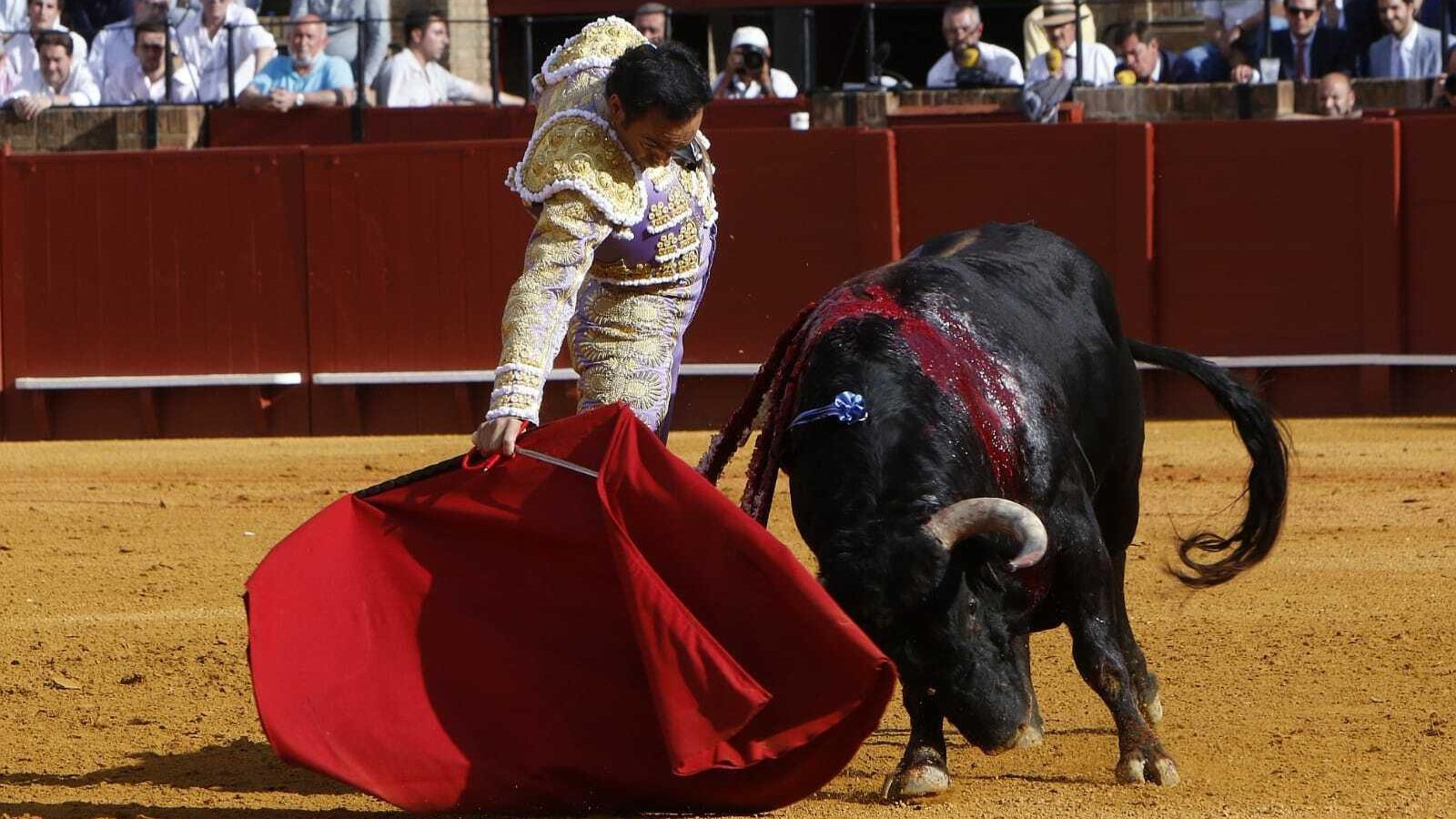 El Cid toreando con la muleta a su primer toro. El Cid toreando con la muleta a su primer toro.