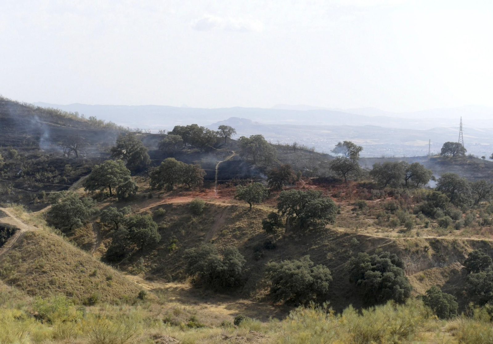 Las mejores imágenes del despliegue del Infoca en un incendio forestal en Jun
