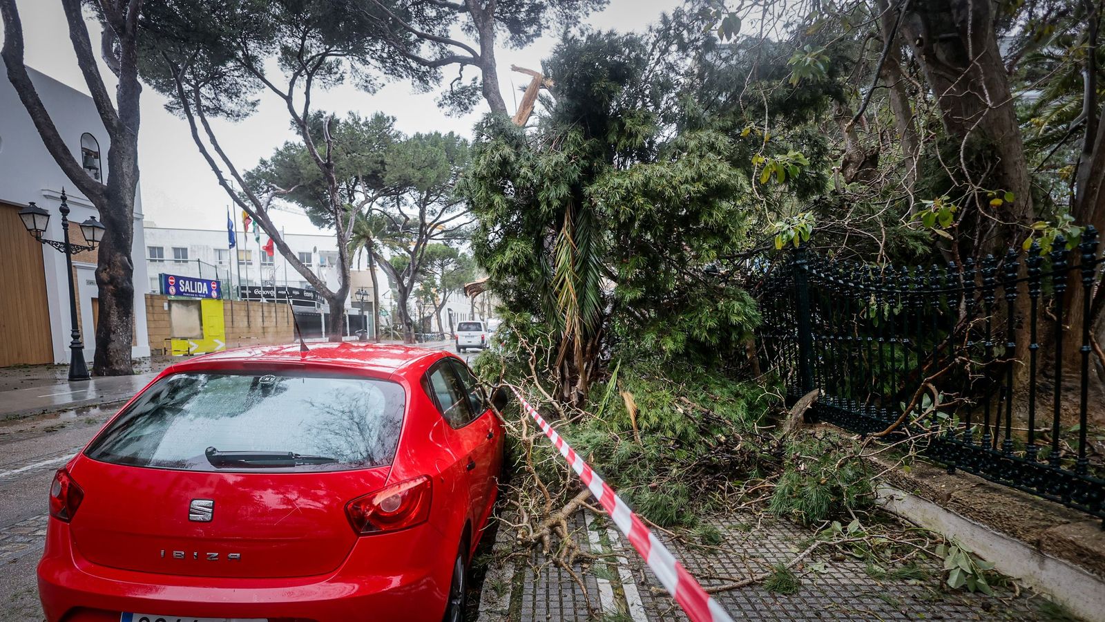Imágenes de las incidencias y destrozos provocados por la borrasca Kristin en Cádiz