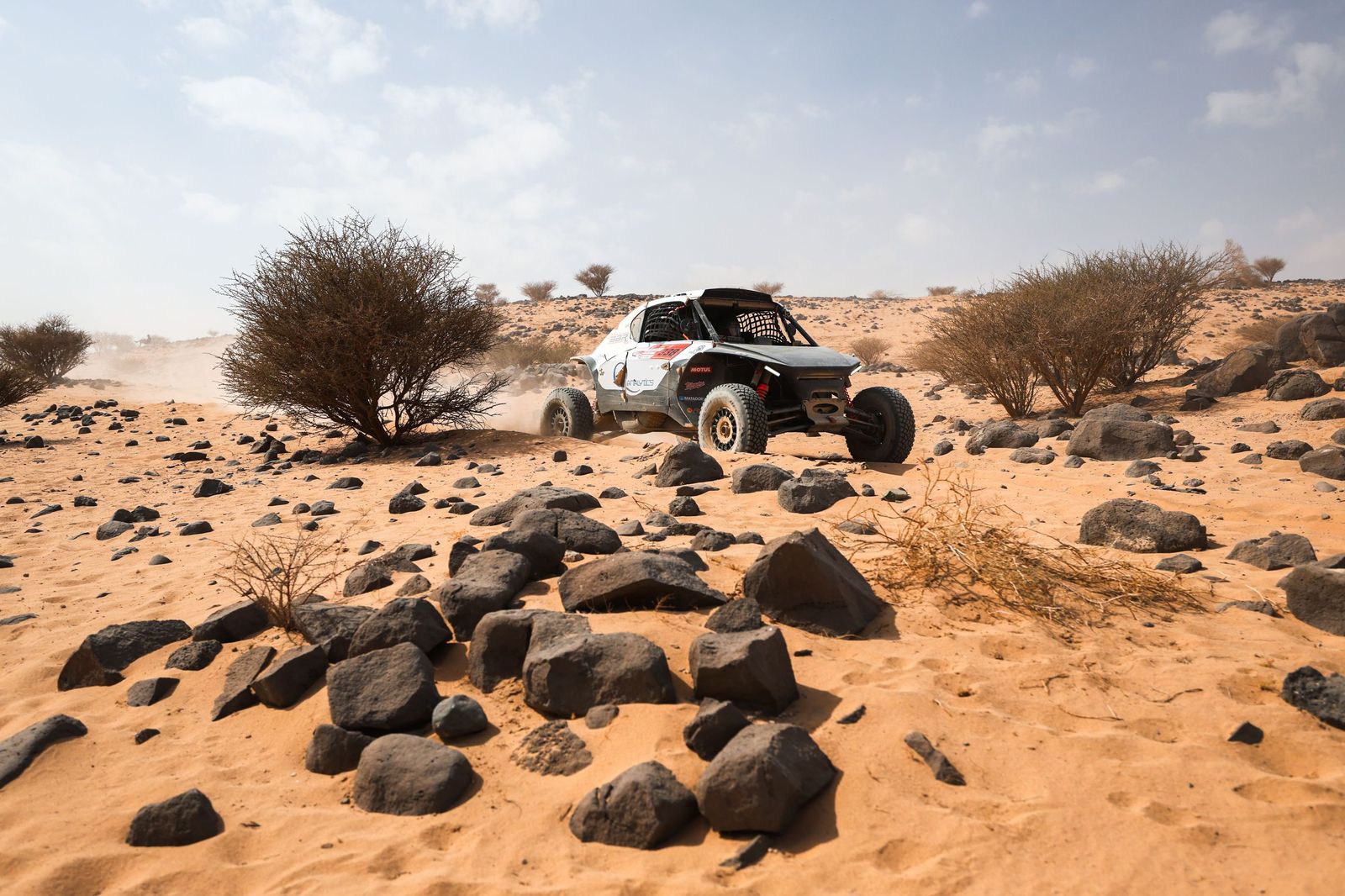 Las mejores fotos del Rally Dakar | undécima etapa