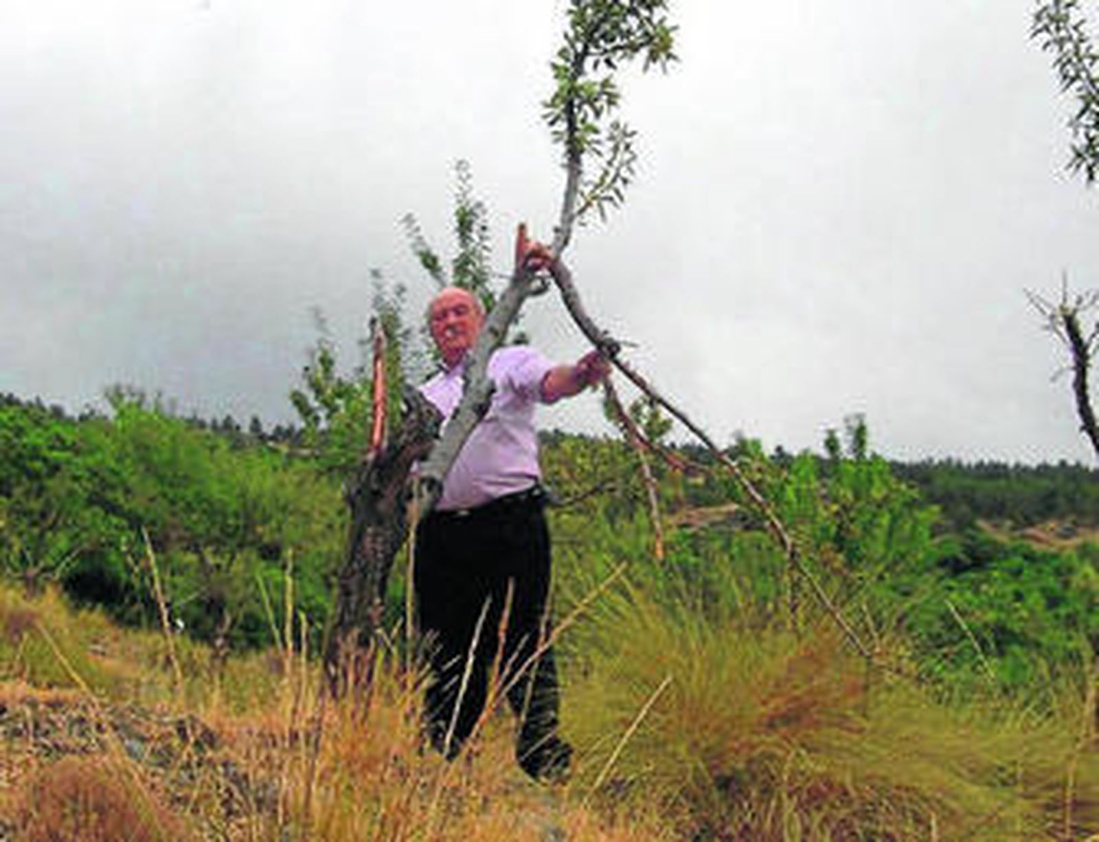 José Jorquera, agricultor de Bacares, fue uno de los afectados por las incursiones de los ciervos en su finca.