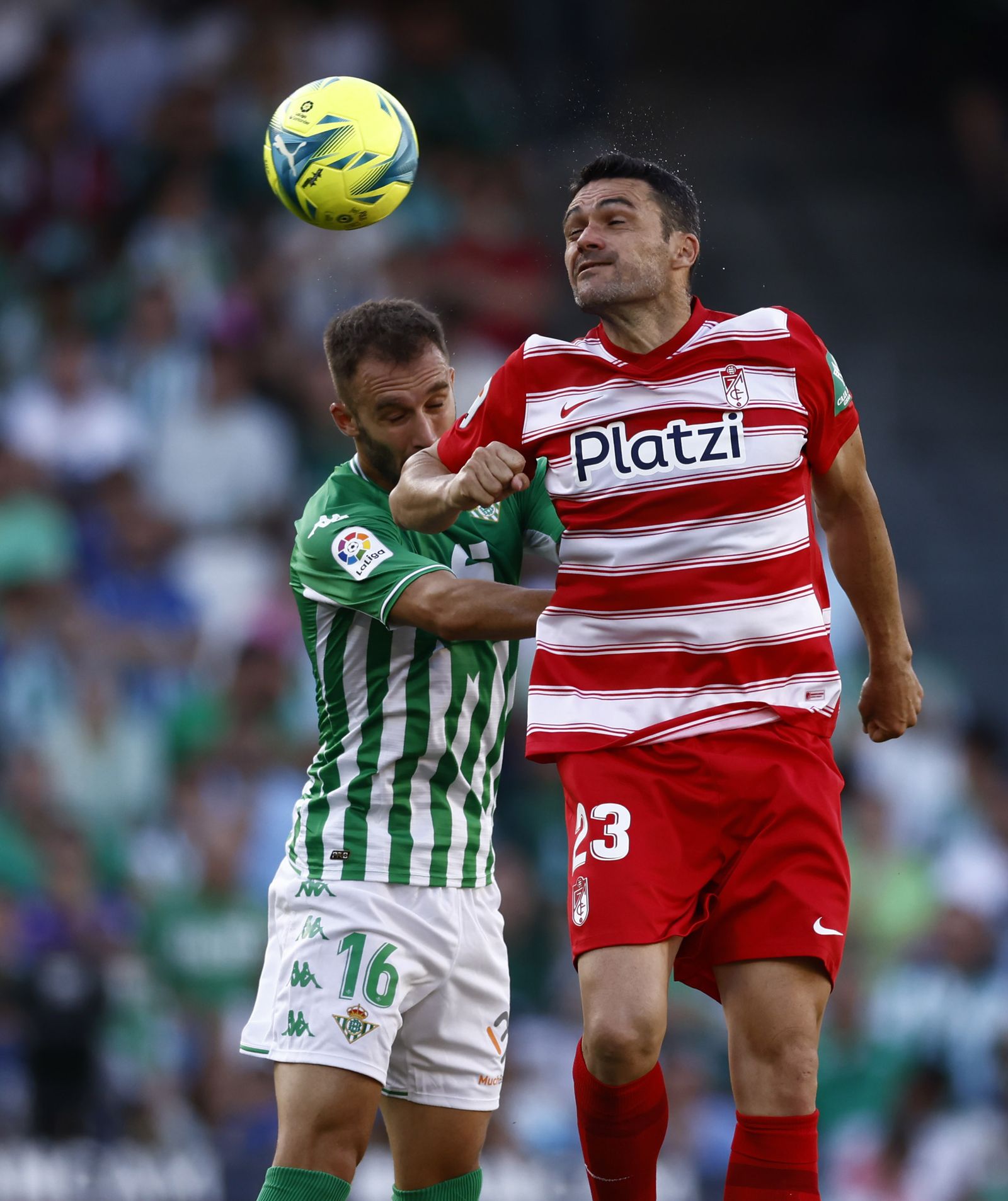 Las imágenes del Betis-Granada