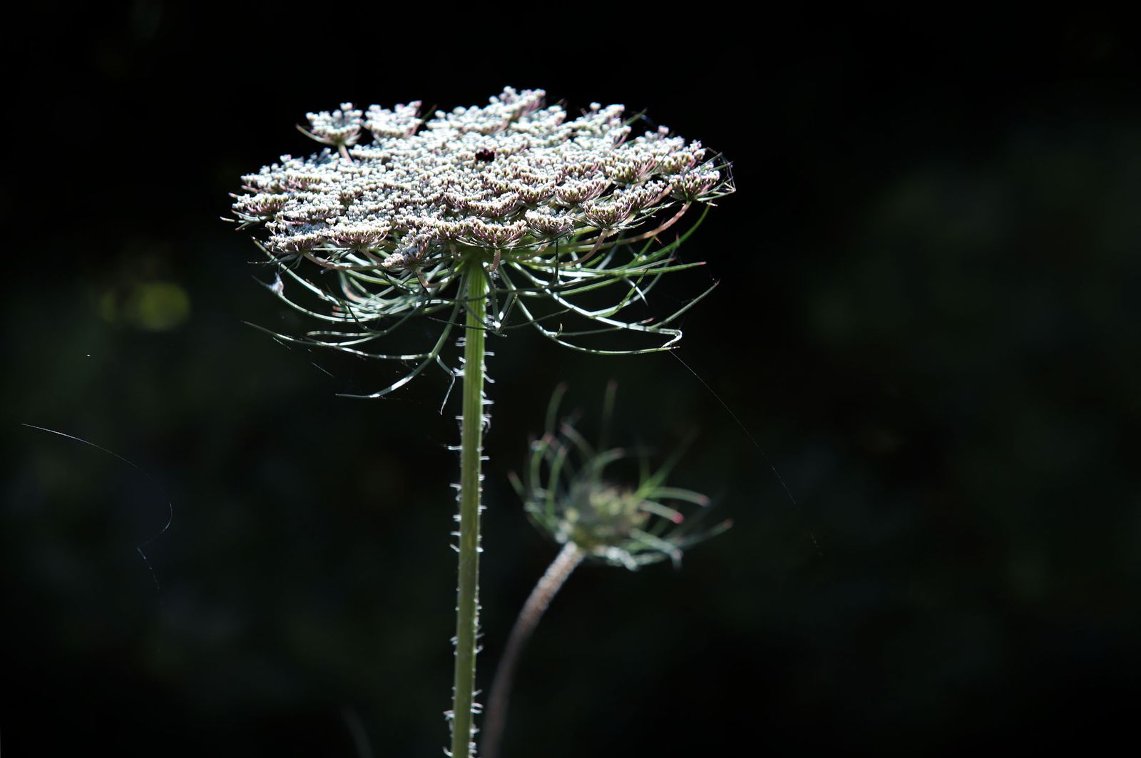 Imágenes del sábado 15 de mayo en Huelva