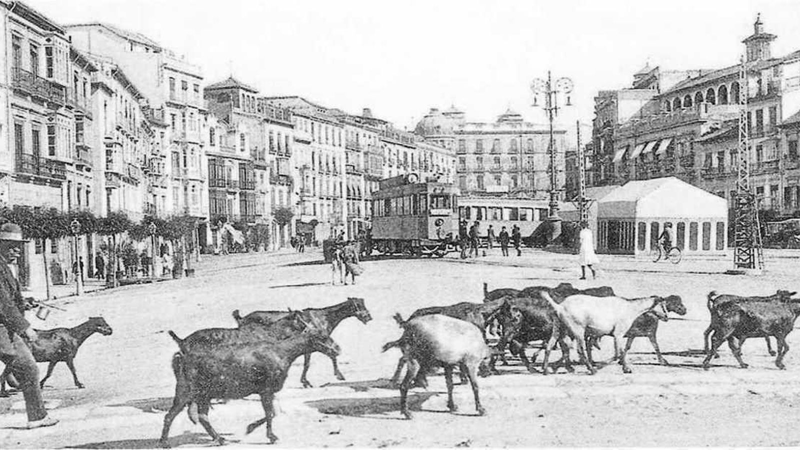 Cabras en el embovedado