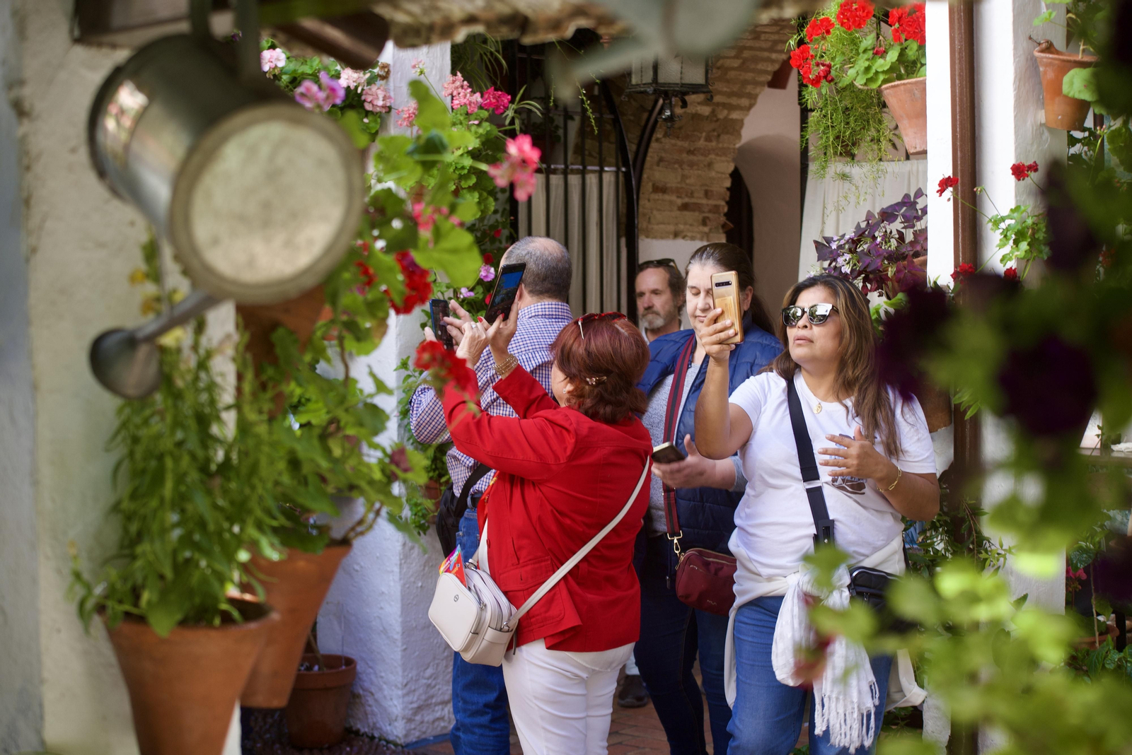 Los Patios de la Ruta del Alcázar Viejo, en imágenes