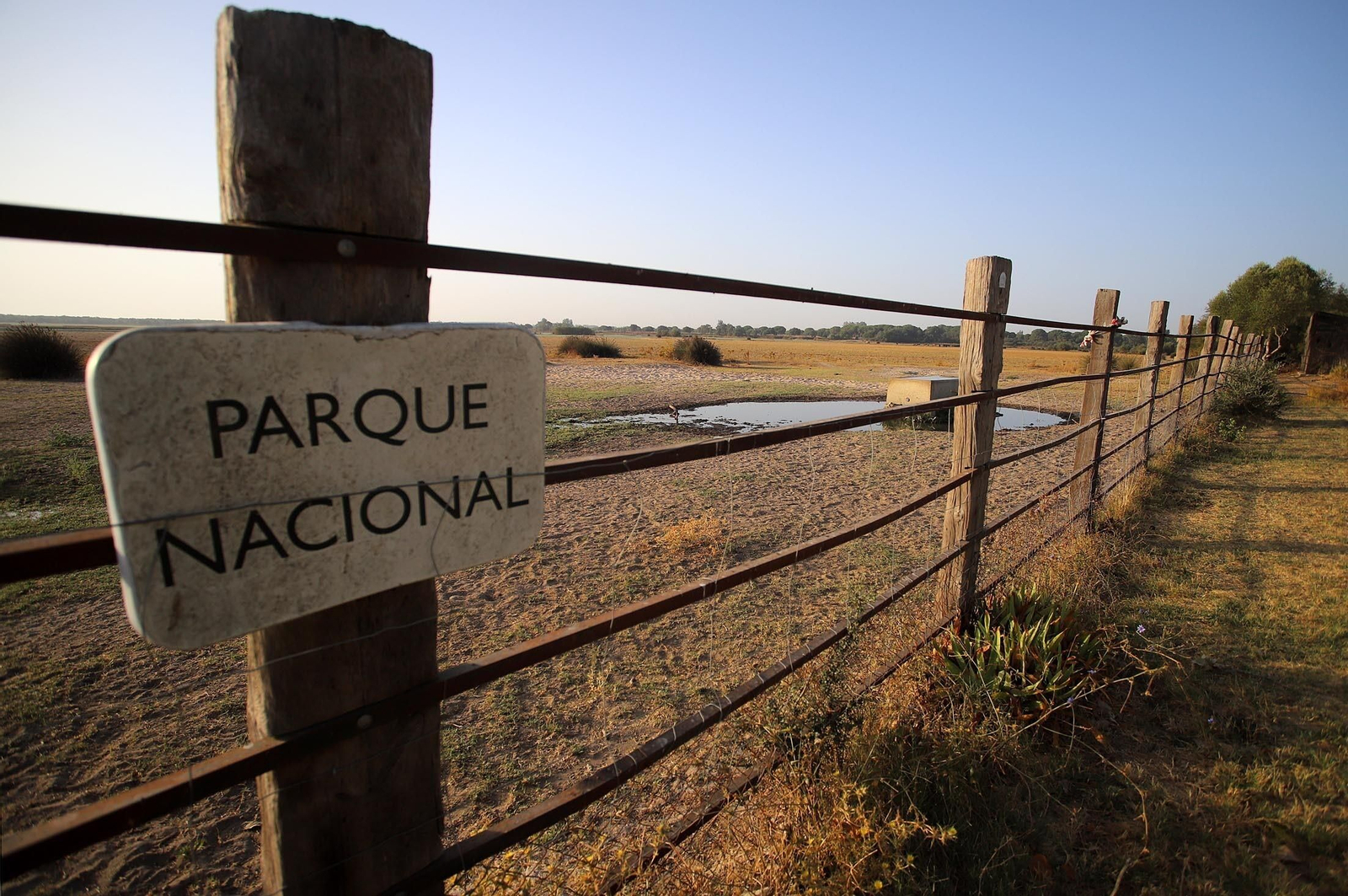 La marisma junto a la ermita de El Rocío seca, en imágenes