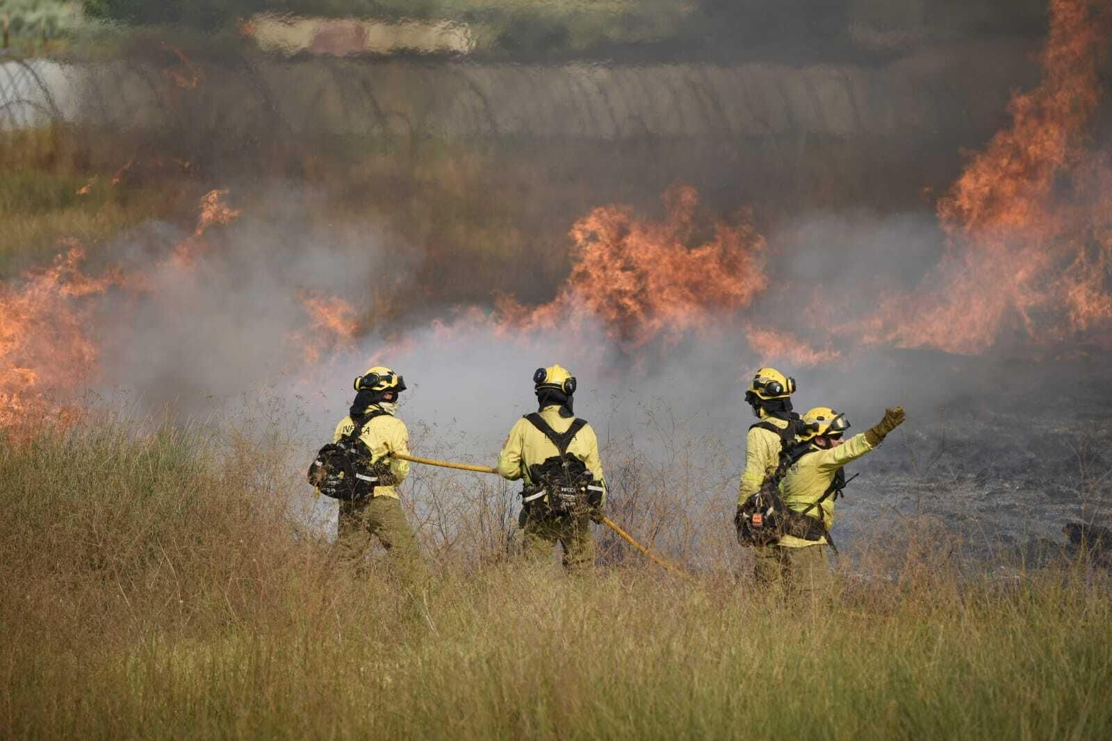 Imágenes del incendio forestal de Bonares