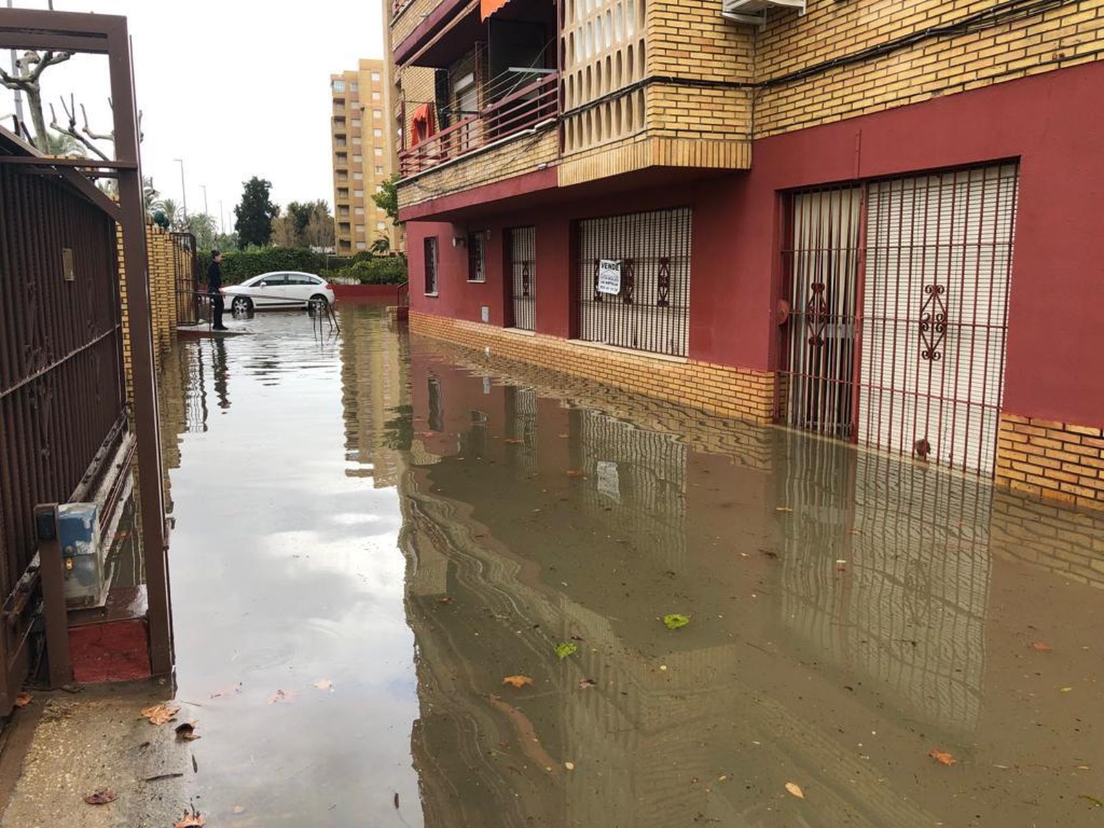 Los comercios de la la avenida de Castilla de La Antilla están prácticamente todos afectados y muchos coches y bajos de edificios