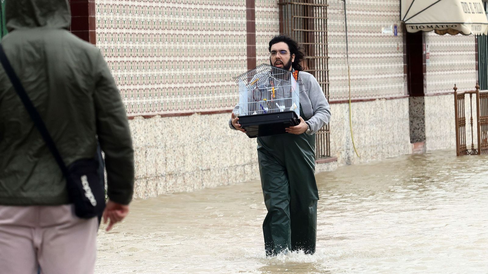 Imágenes del paseo rural por Jerez en el estreno de la borrasca Marta
