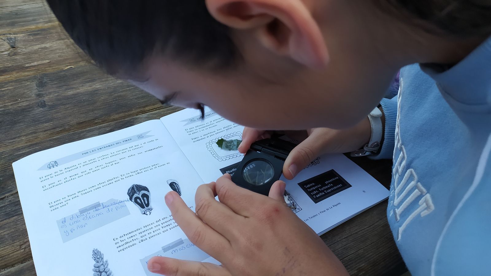 Una de las actividades didácticas incluidas en la campaña.