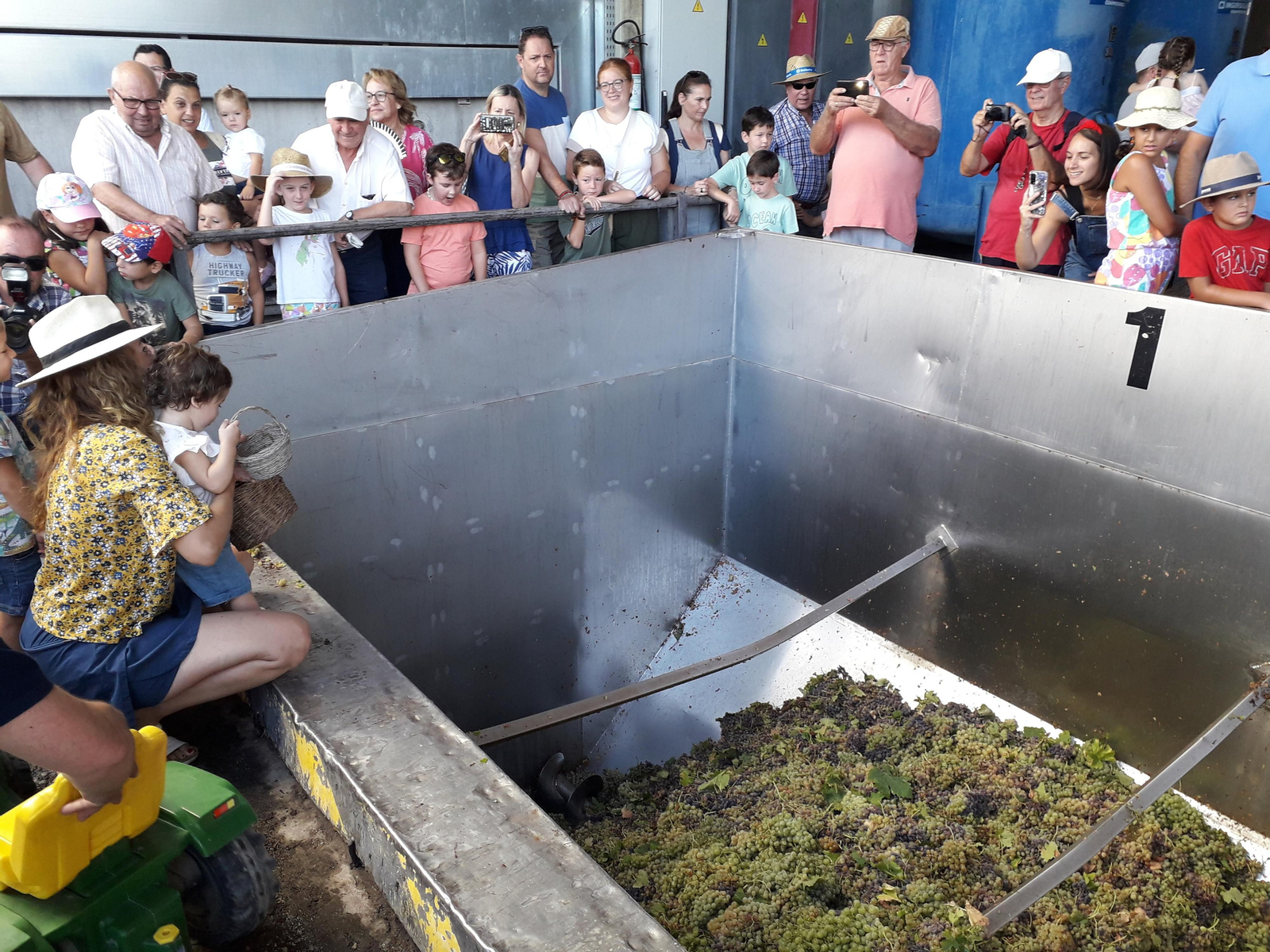 La primera vendimia infantil de Montilla, en imágenes