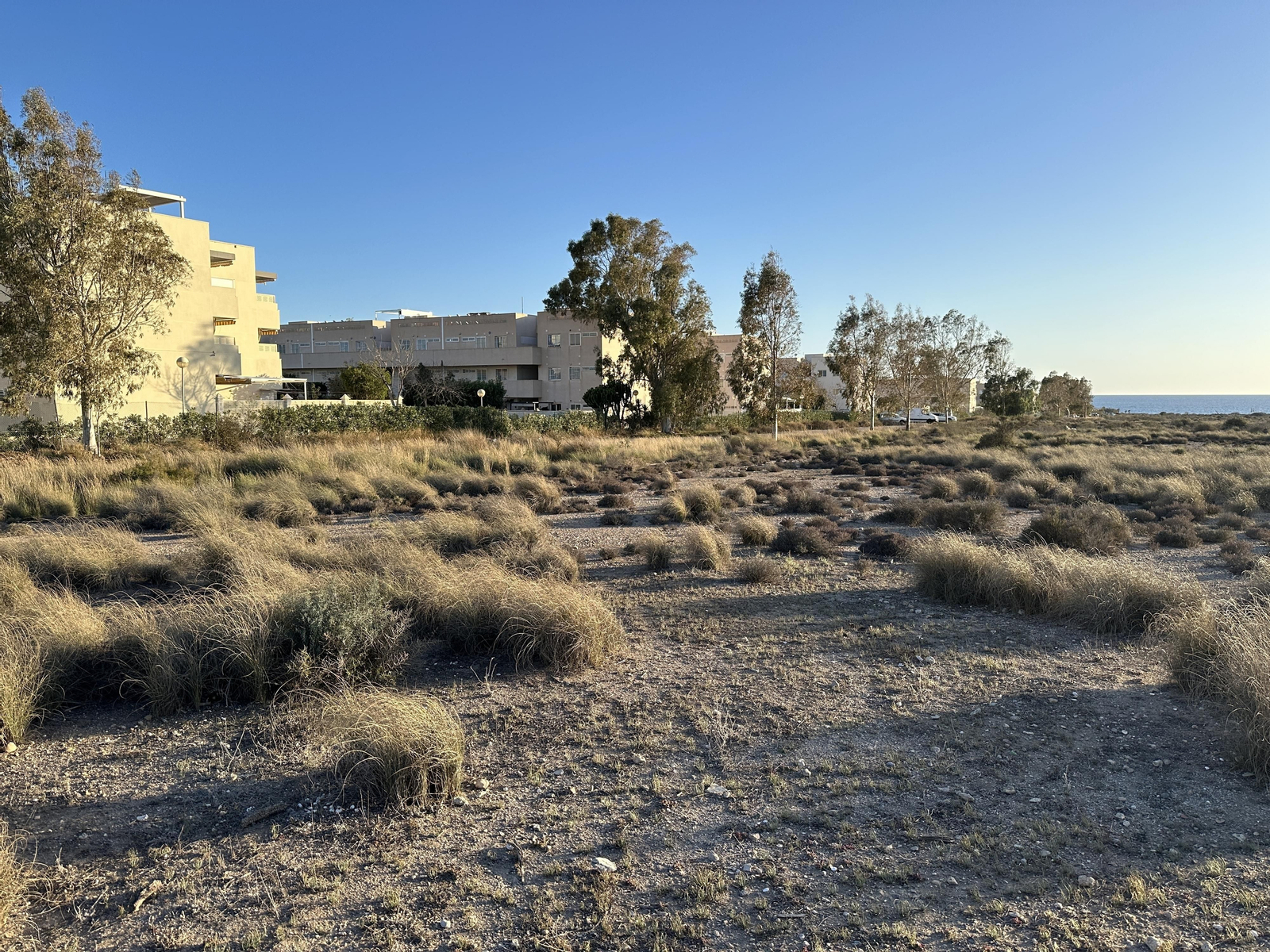 Solar de El Toyo escogido para el Dreambeach