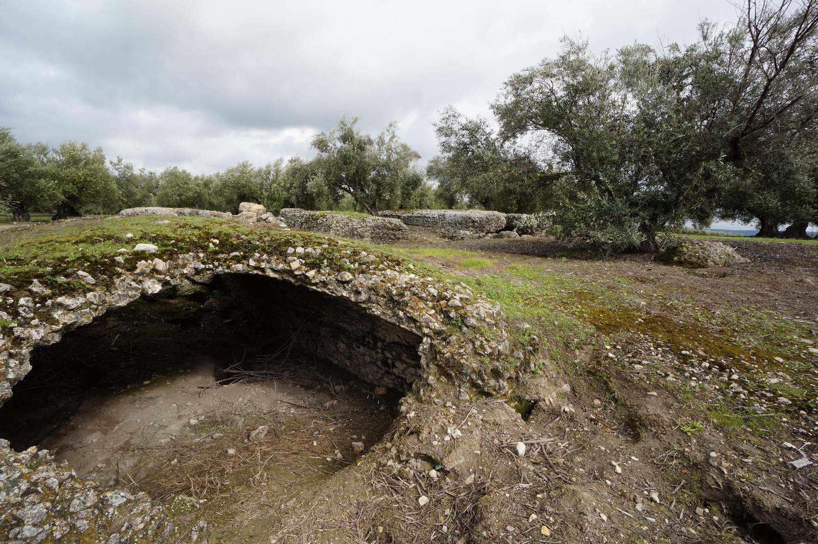Los silos romanos del Carchena en Castro del Río, en fotografías