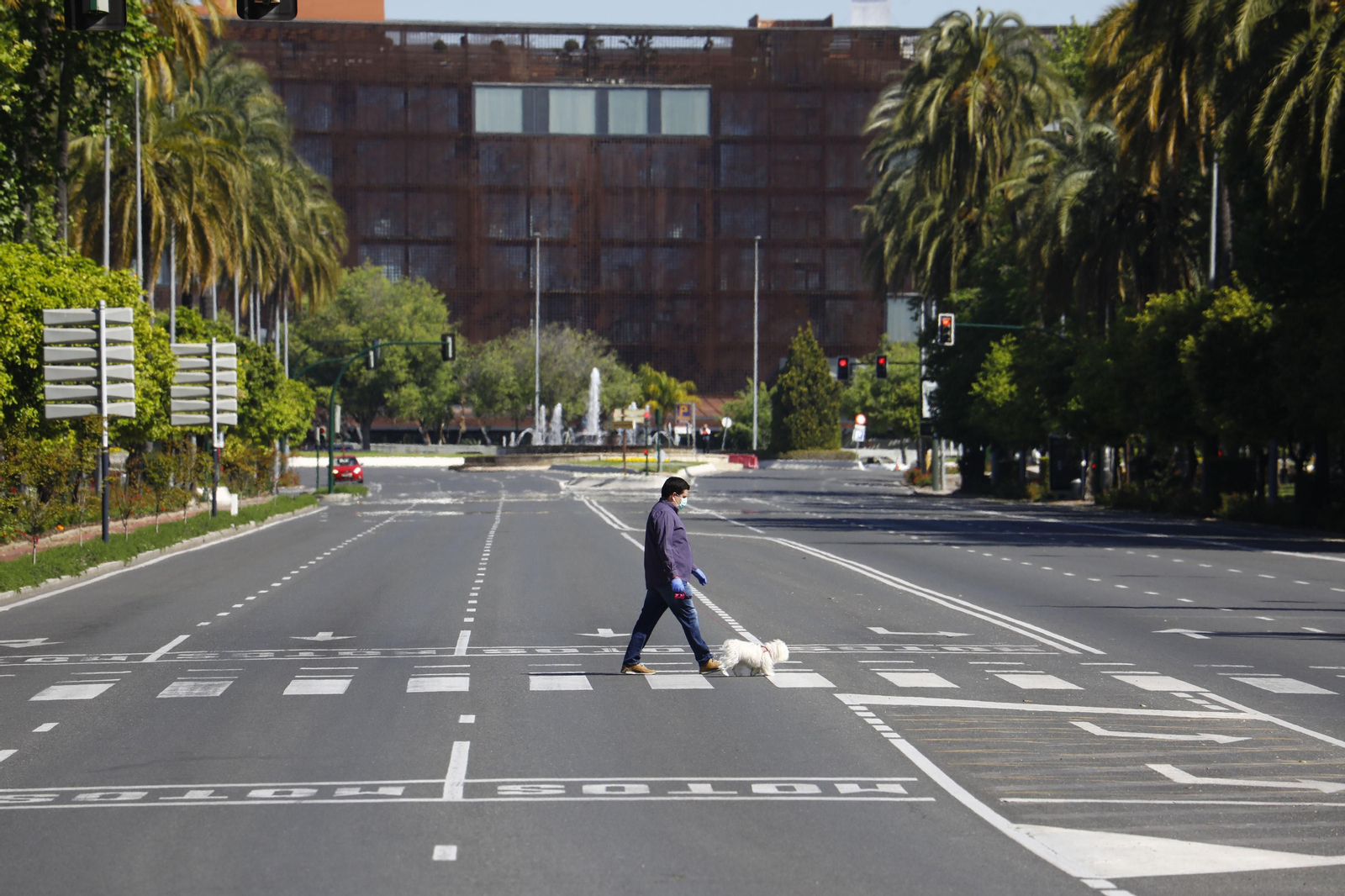 Dos años de covid en Córdoba: las imágenes más significativas de la pandemia
