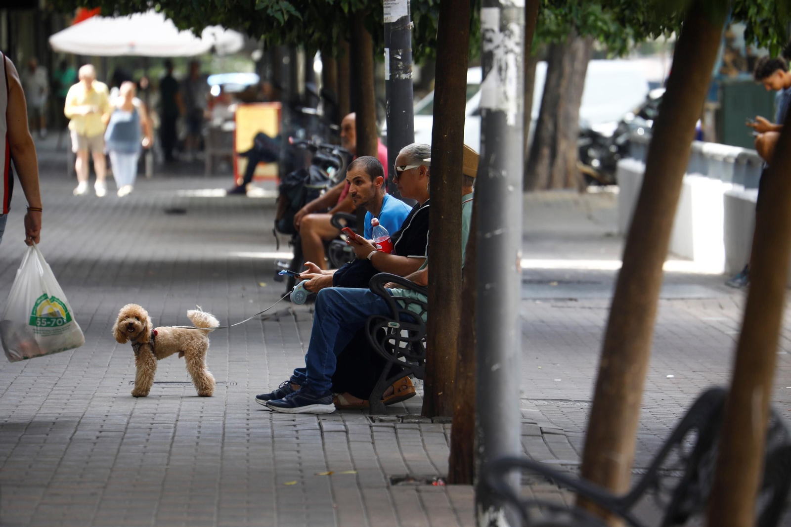 Ambiente en la avenida de Barcelona