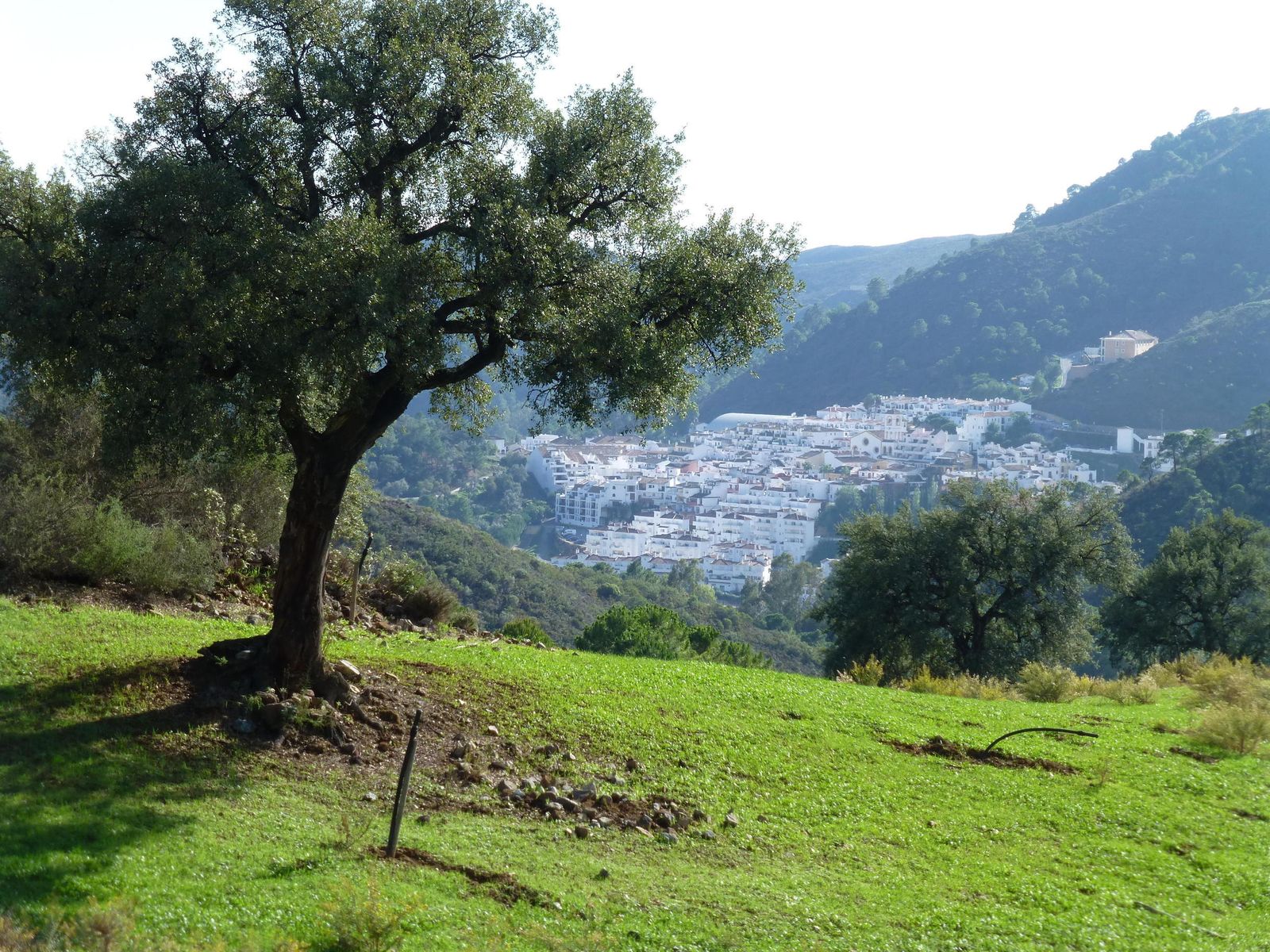 Vista de Benahavís.