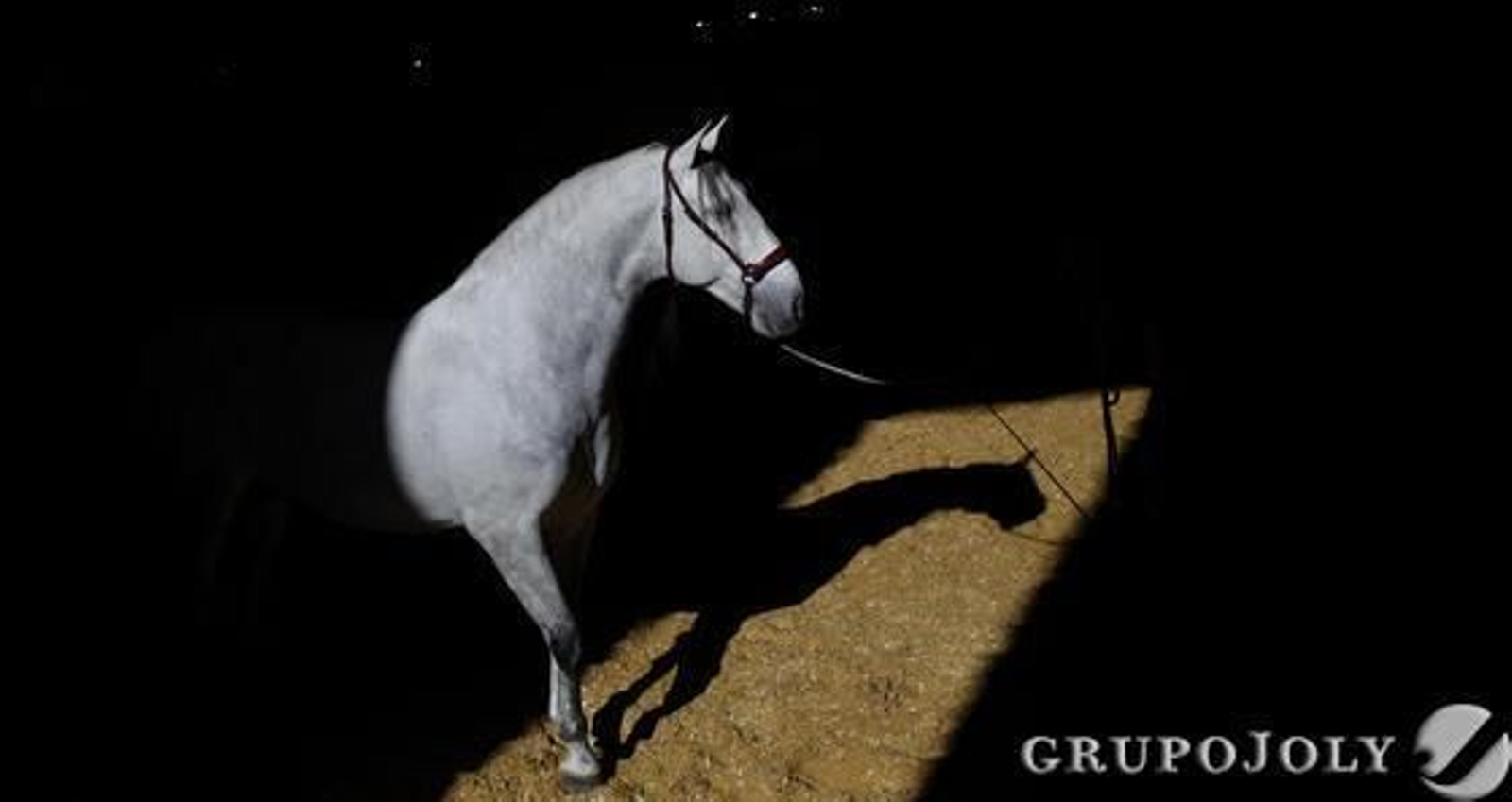 Foto: Antonio Pizarro