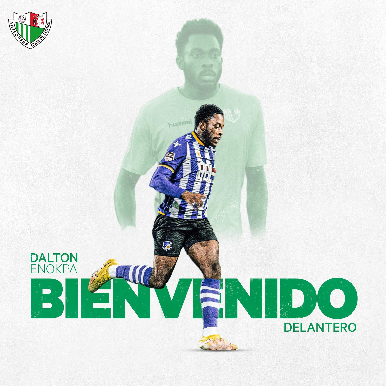 Fichajes Primera RFEF: El delantero Dalton Enokpa, al Antequera