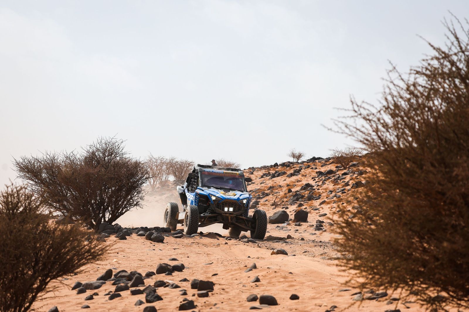 Las mejores fotos del Rally Dakar | undécima etapa