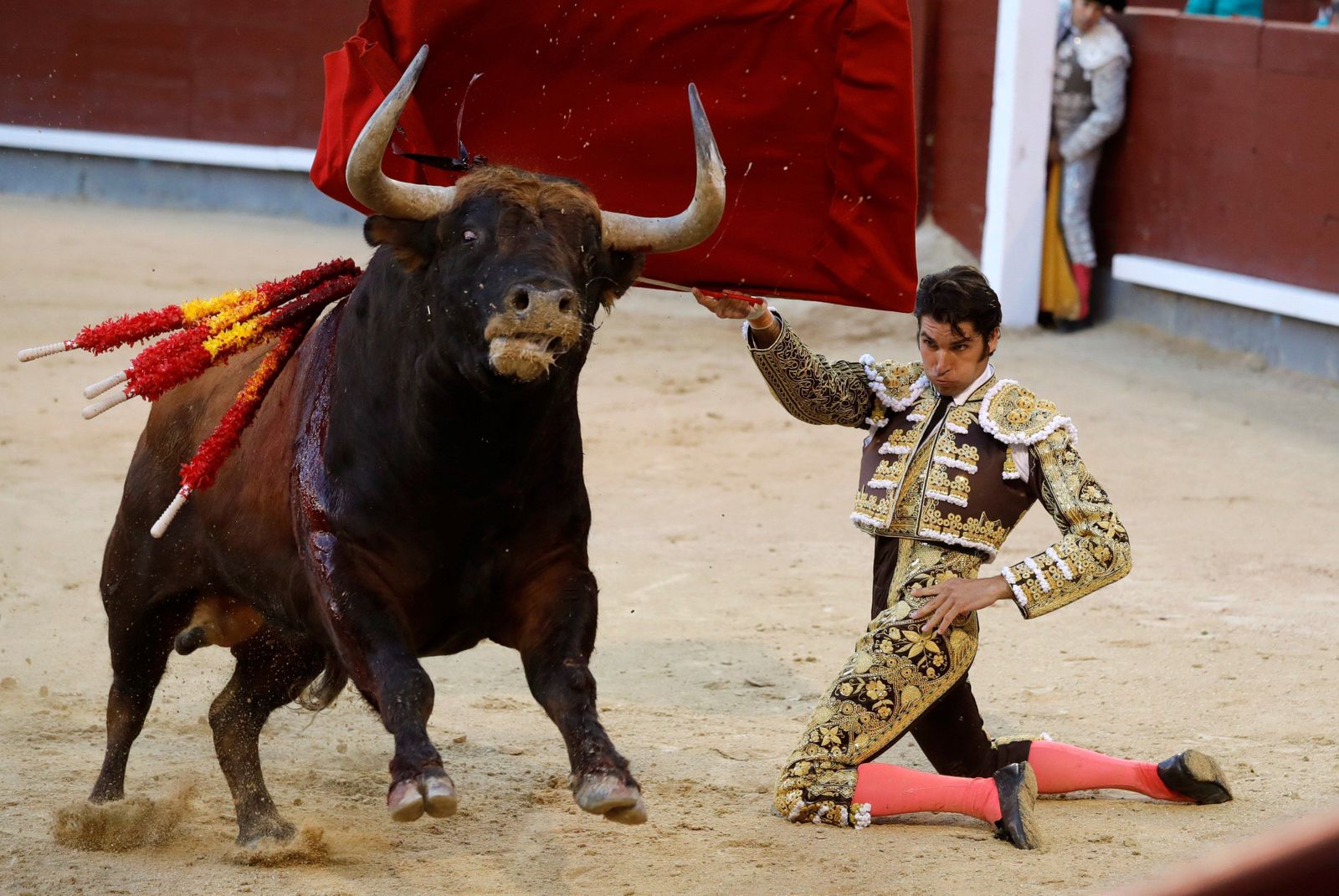 Cayetano, en un muletazo de rodillas al sexto toro de la tarde.