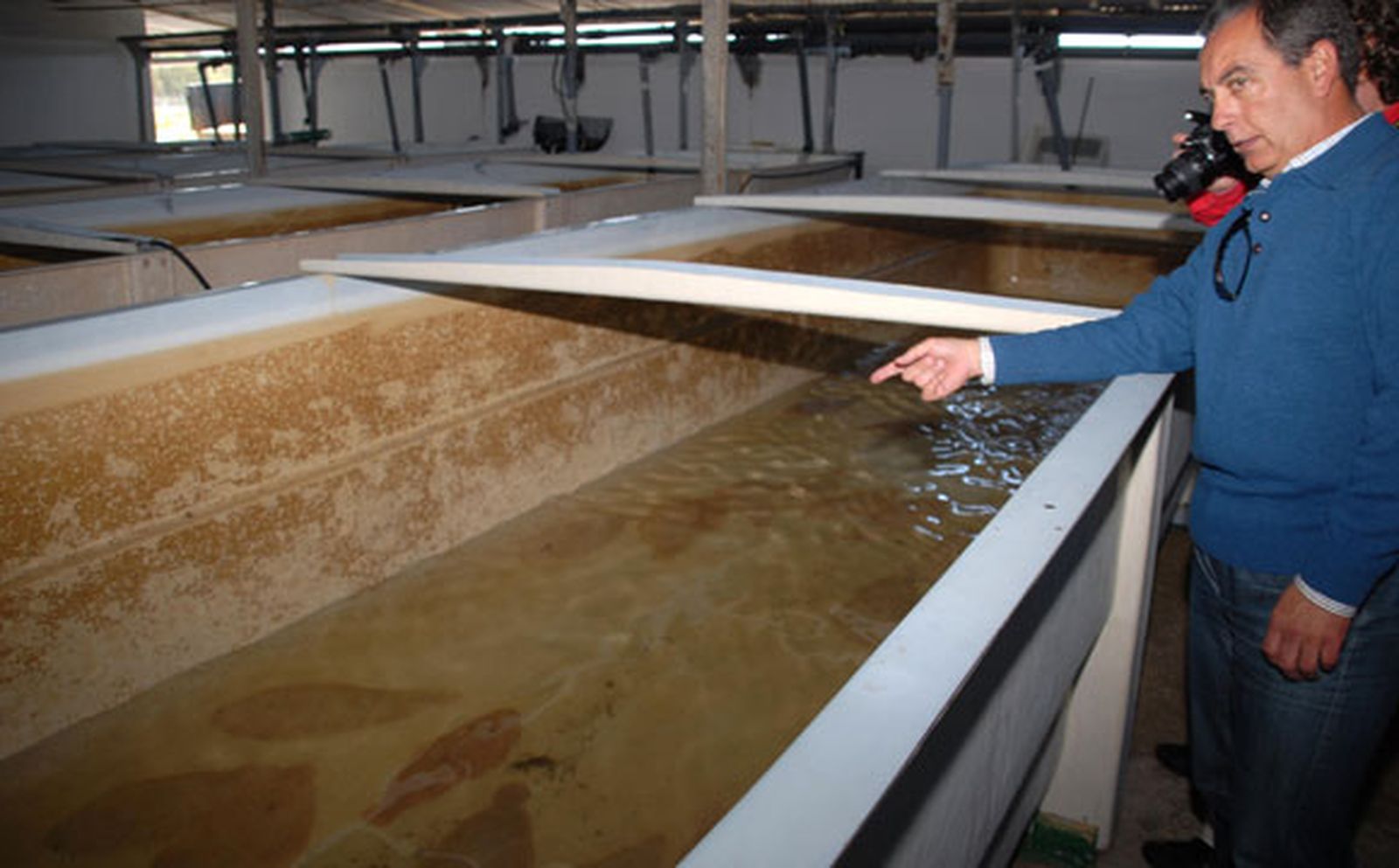 Esteros de Cádiz, "acosados" por los robos de pescado a causa de la crisis