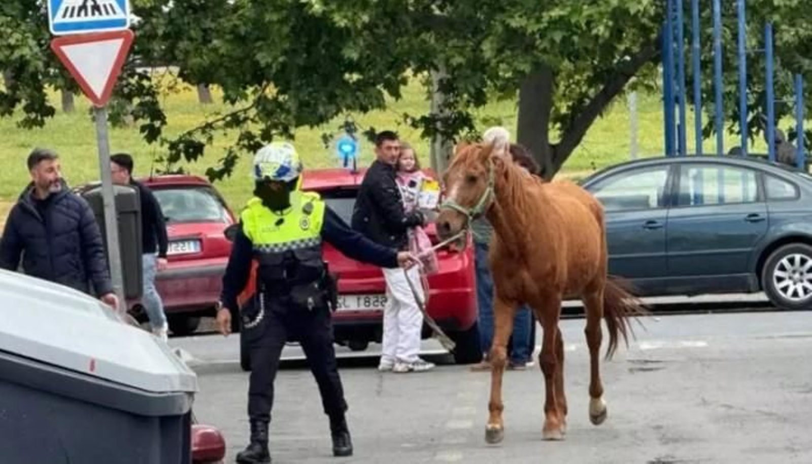El agente de la Policía Local con el caballo suelto. El agente de la Policía Local con el caballo suelto.