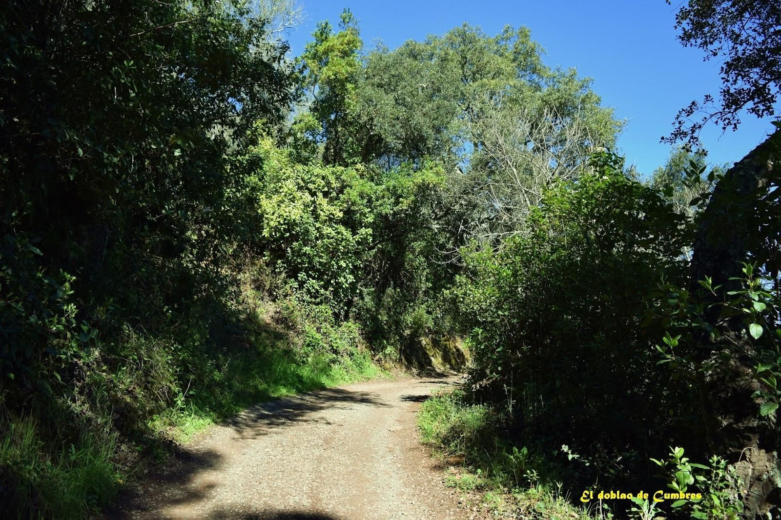 Sendero de Jabugo a Castaño del Robledo