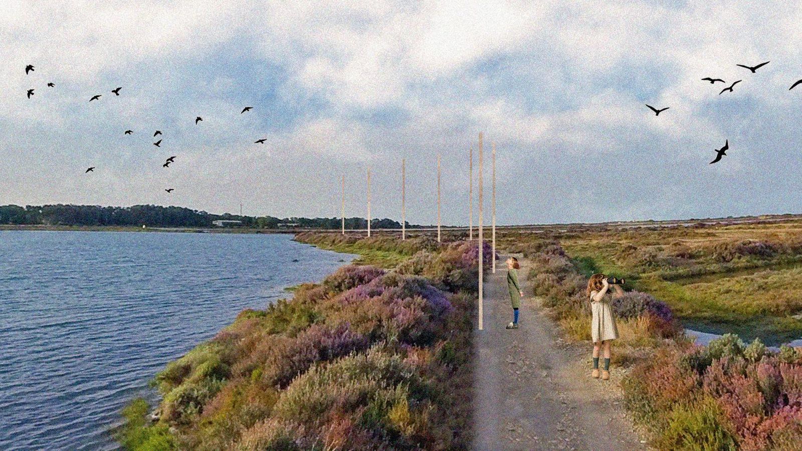 Proyecto en zona de salinas