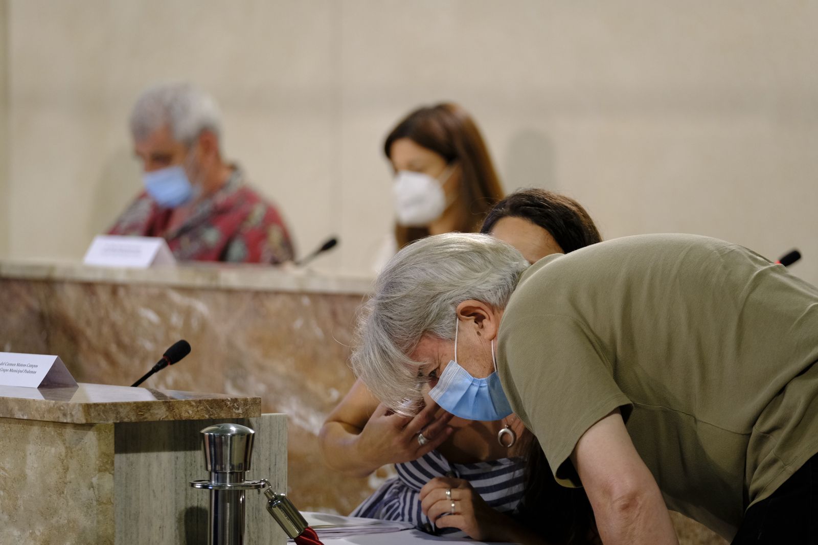 Fotogalería pleno ordinario del Ayuntamiento de Almería